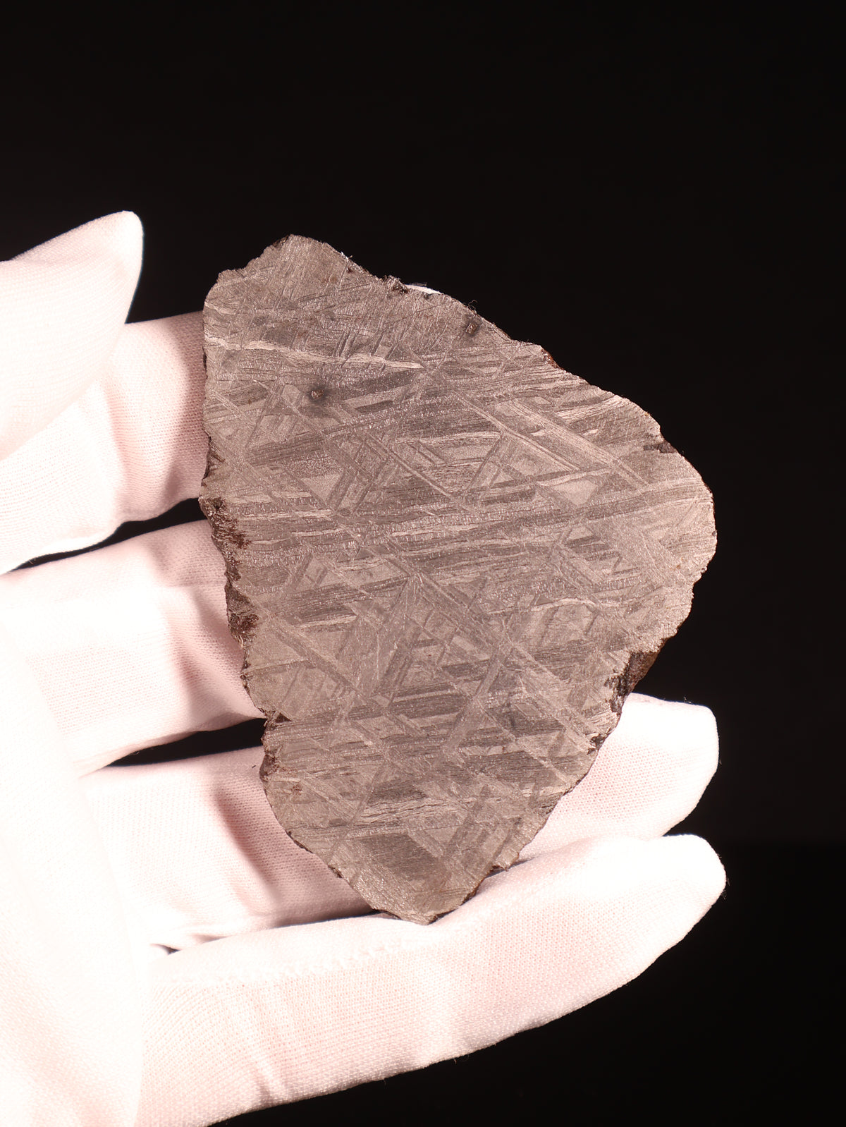 Muonionalusta meteorite, Sweden. 82,43 grams.