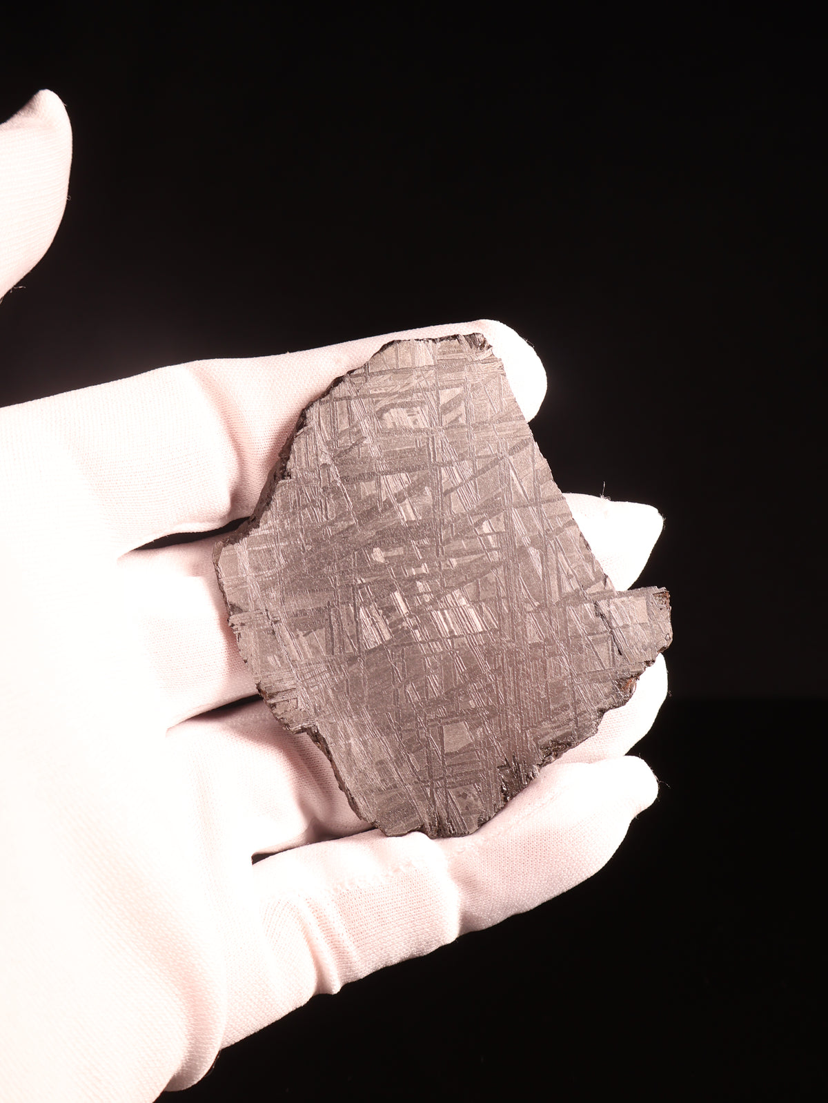 Muonionalusta Meteorite, Sweden. 69 grams slice.