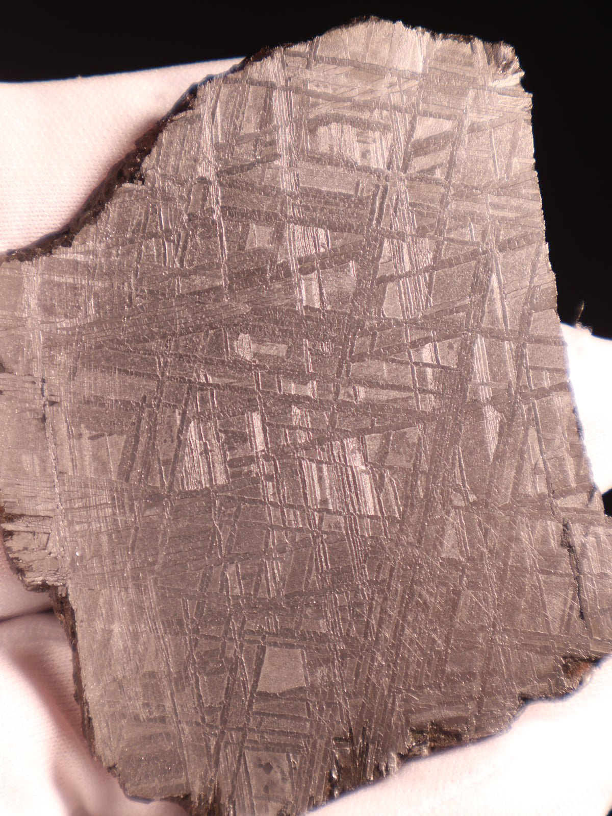 Muonionalusta Meteorite, Sweden. 69 grams slice.