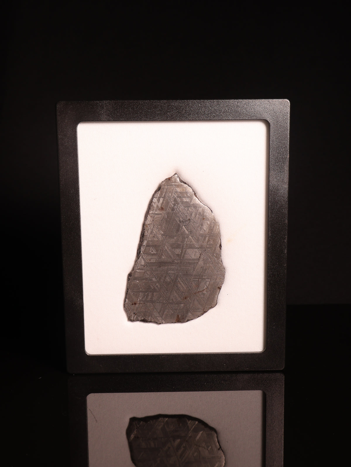 Muonionalusta Meteorite, Sweden.  77,2 grams.