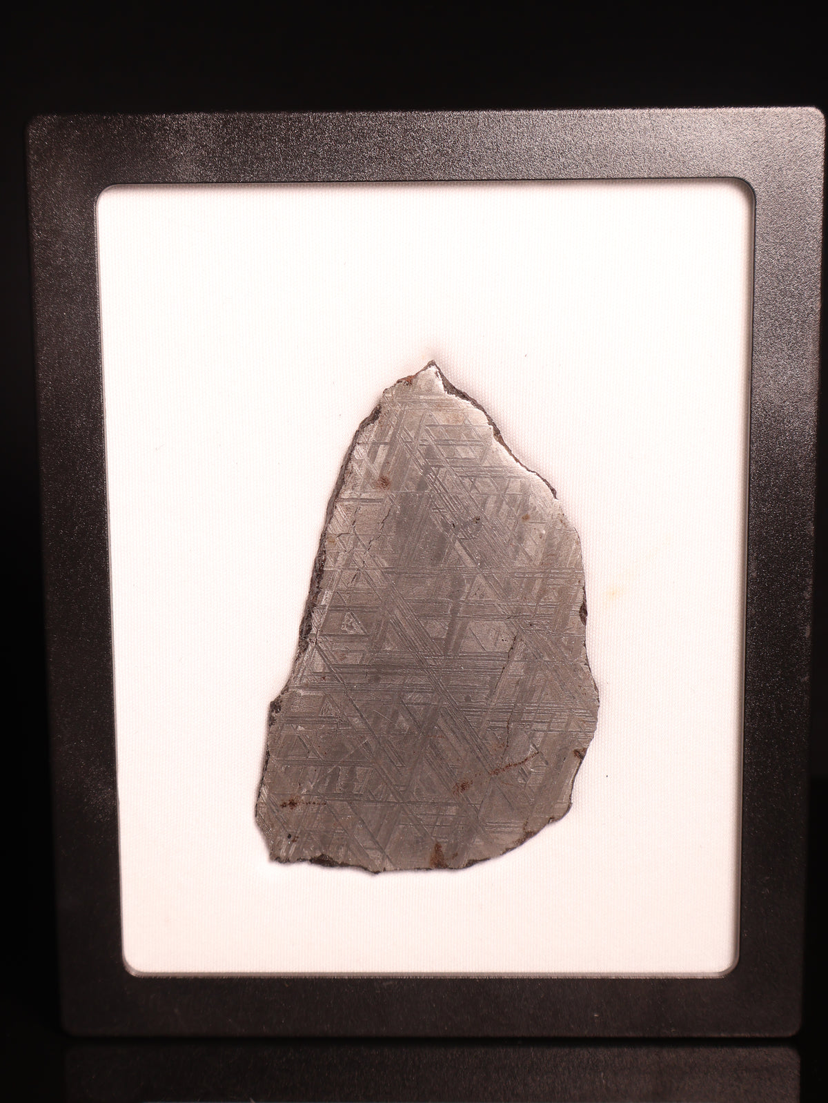 Muonionalusta Meteorite, Sweden.  77,2 grams.
