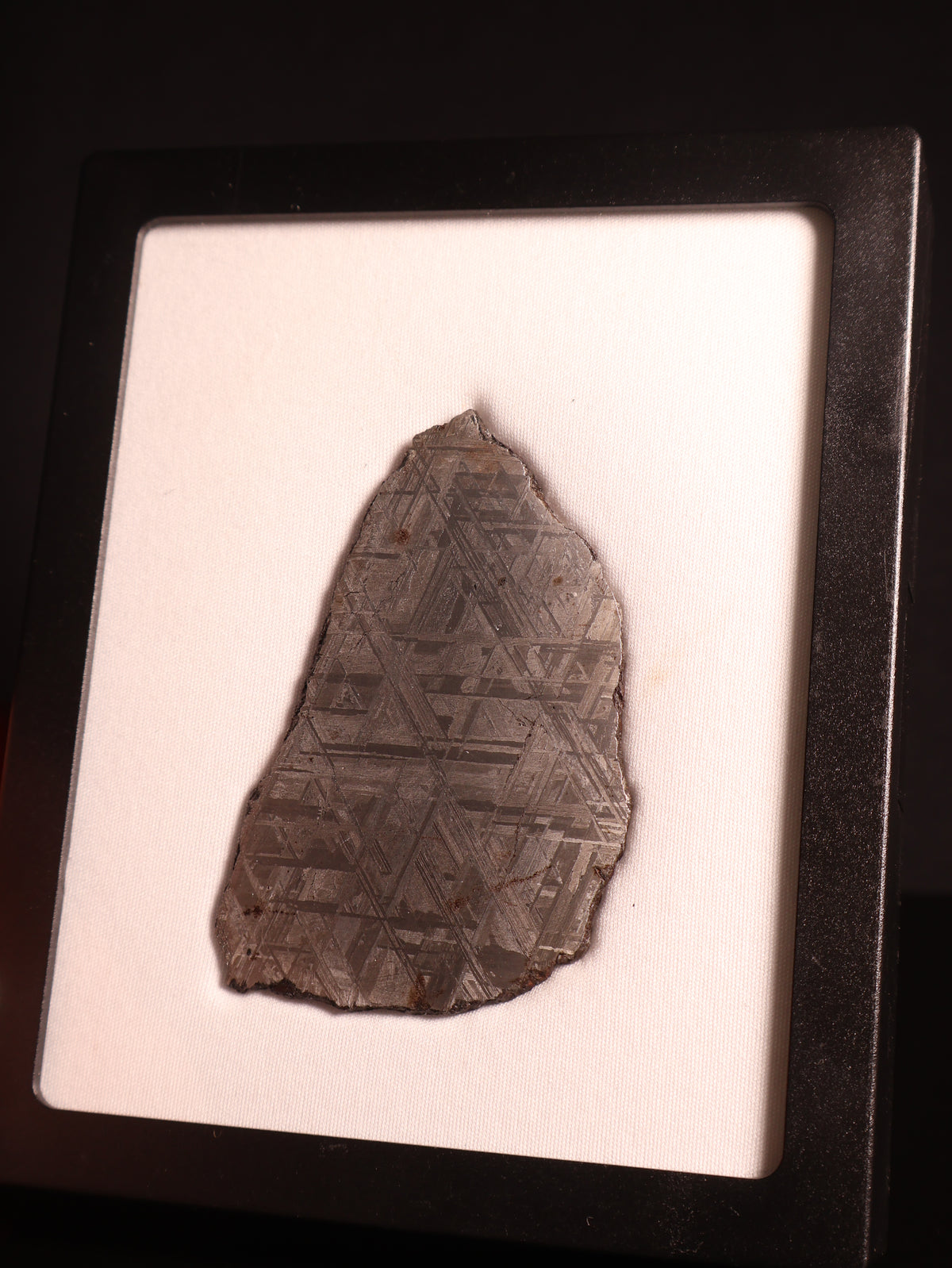 Muonionalusta Meteorite, Sweden.  77,2 grams.