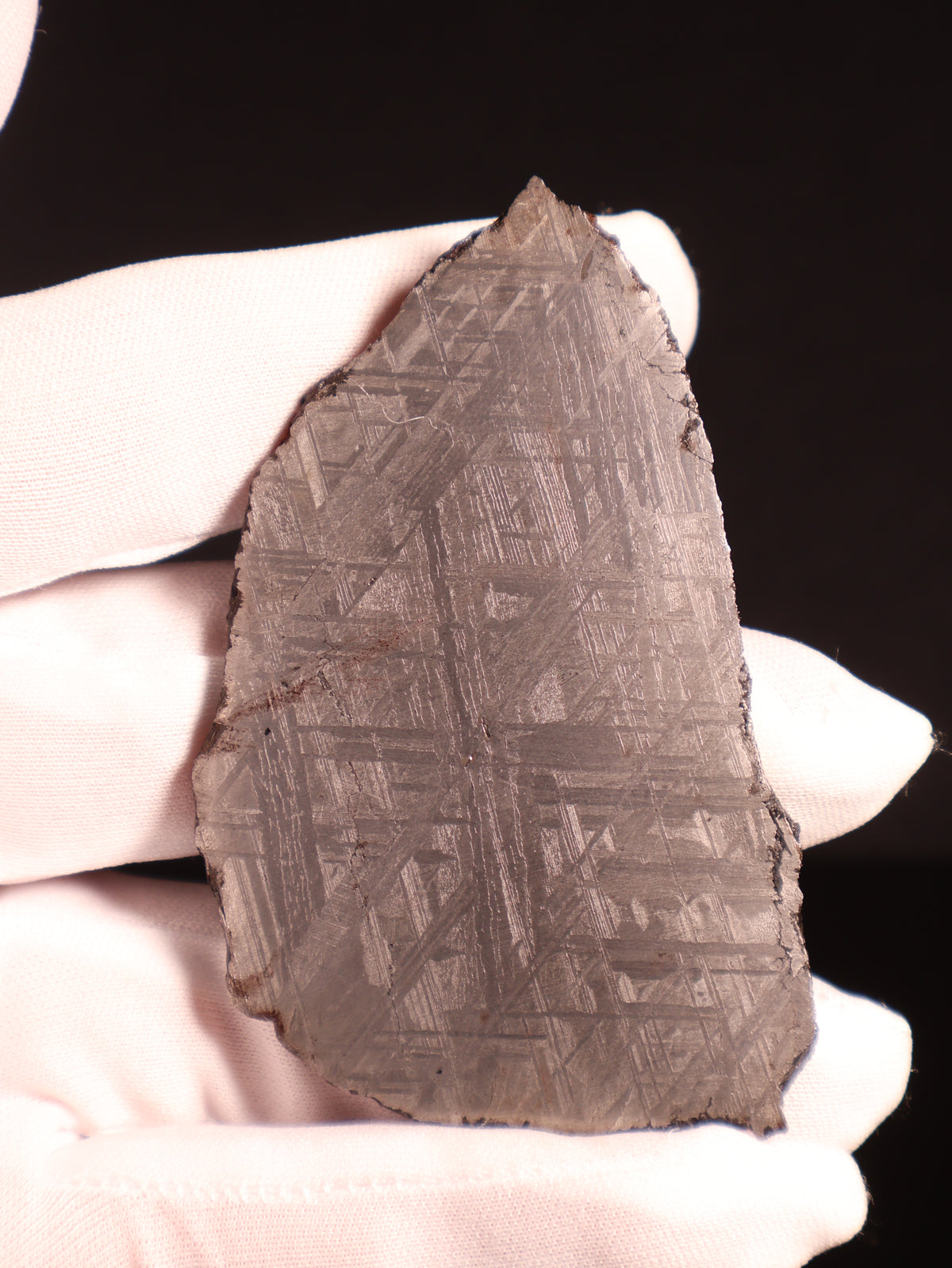 Muonionalusta Meteorite, Sweden.  77,2 grams.