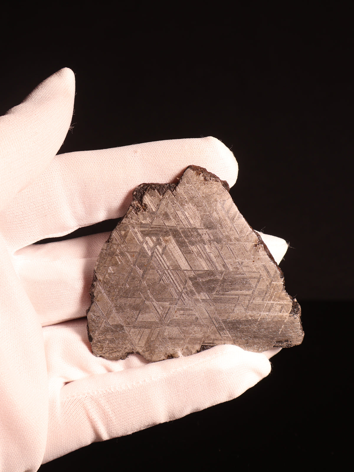 Muonionalusta meteorite, Sweden. 60 grams.