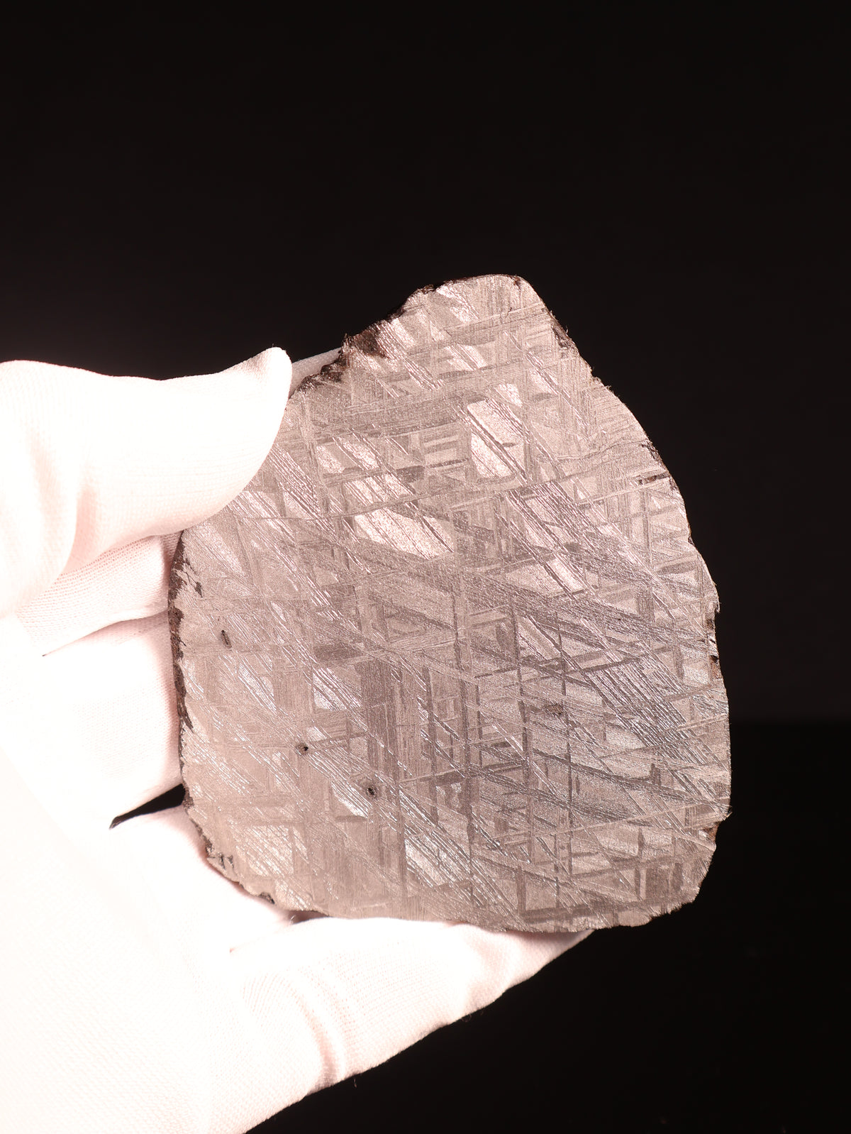MUONIONALUSTA METEORITE, SWEDEN. 117 GRAMS.