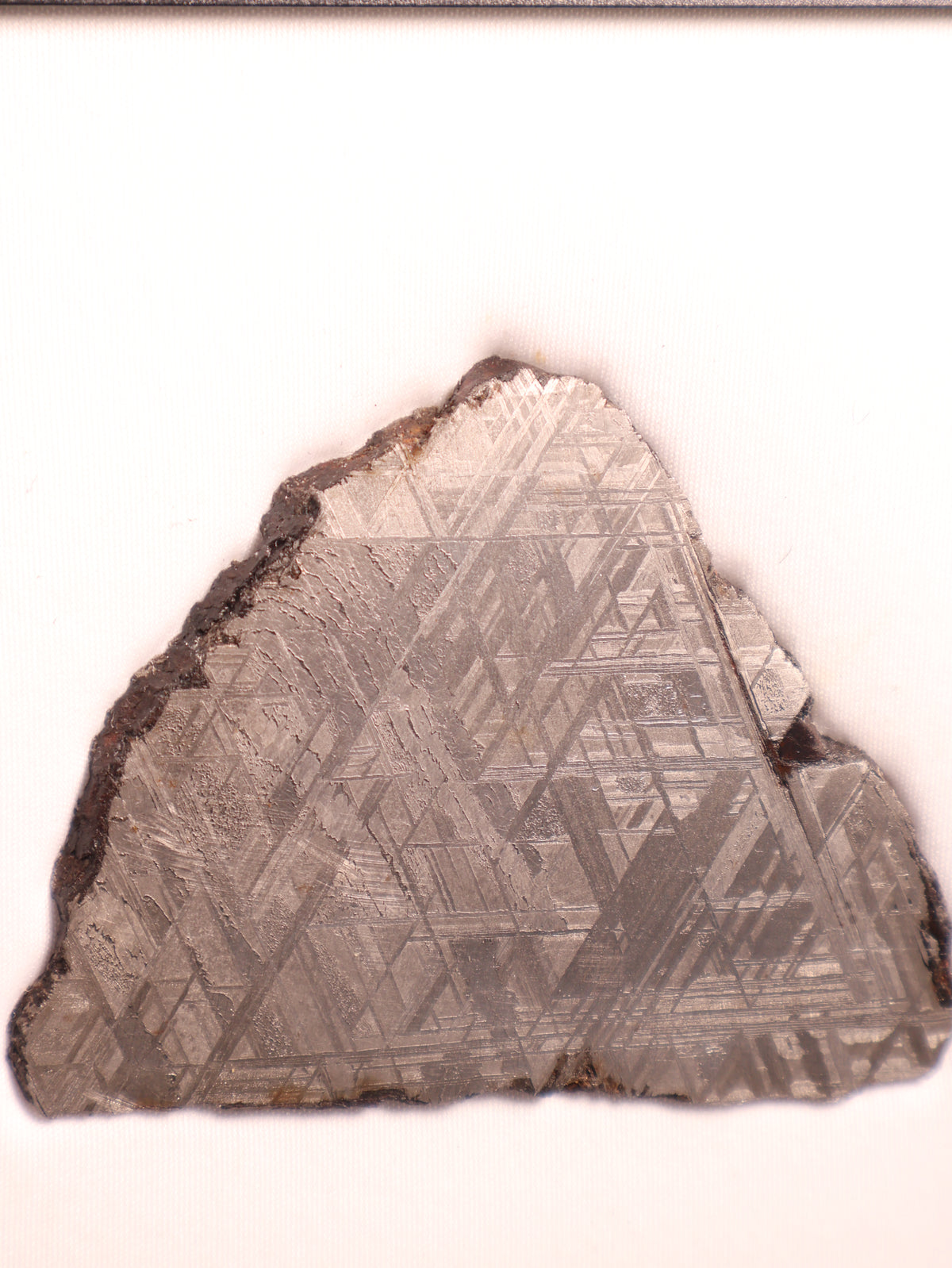 Muonionalusta meteorite, Sweden. 127,74 grams.
