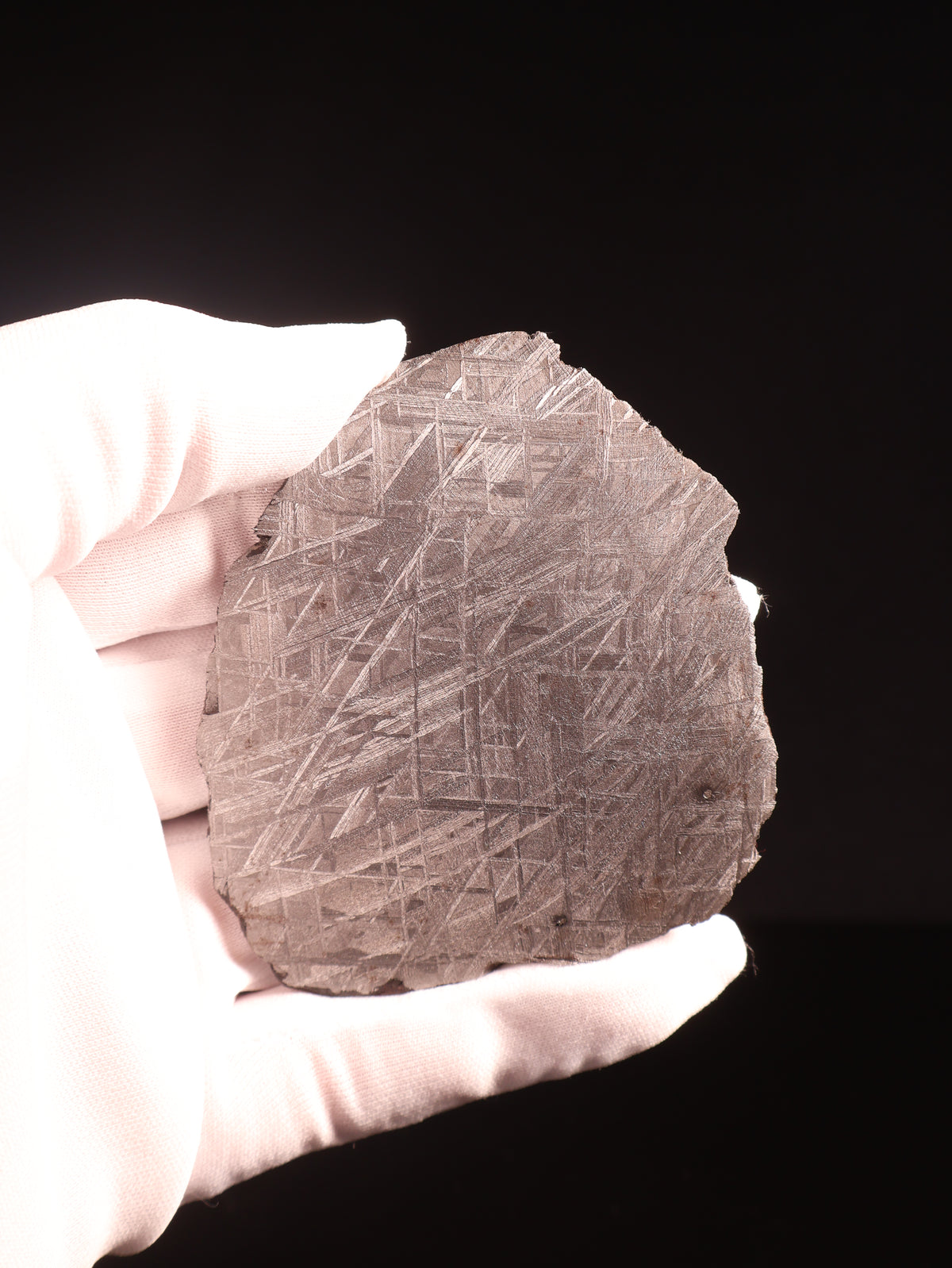 MUONIONALUSTA METEORITE, SWEDEN. 72,07 GRAMS.
