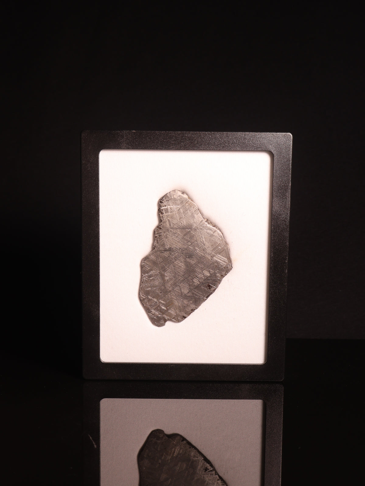 Muonionalusta meteorite, Sweden. 73,71 grams.