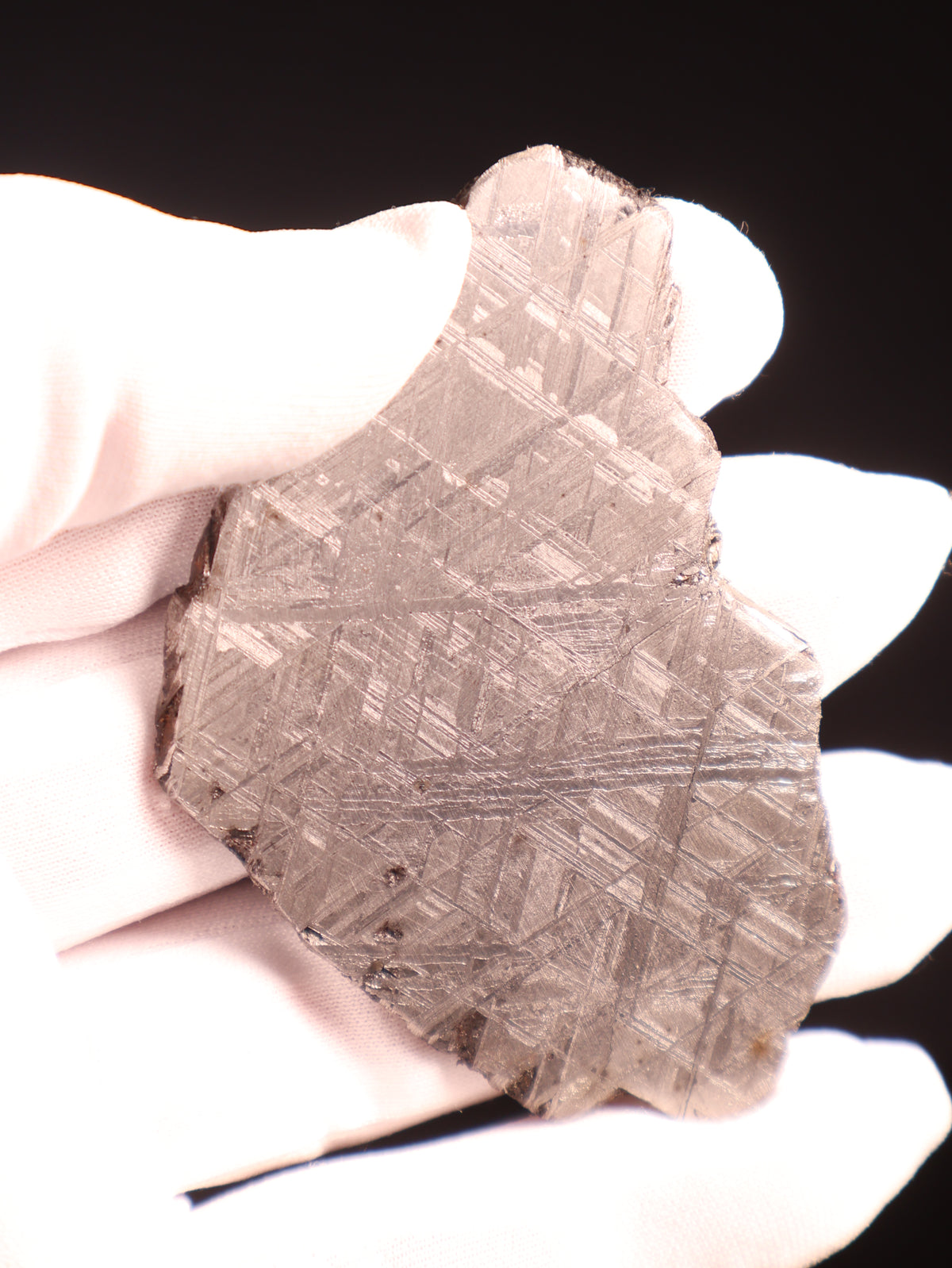 Muonionalusta meteorite, Sweden. 73,71 grams.