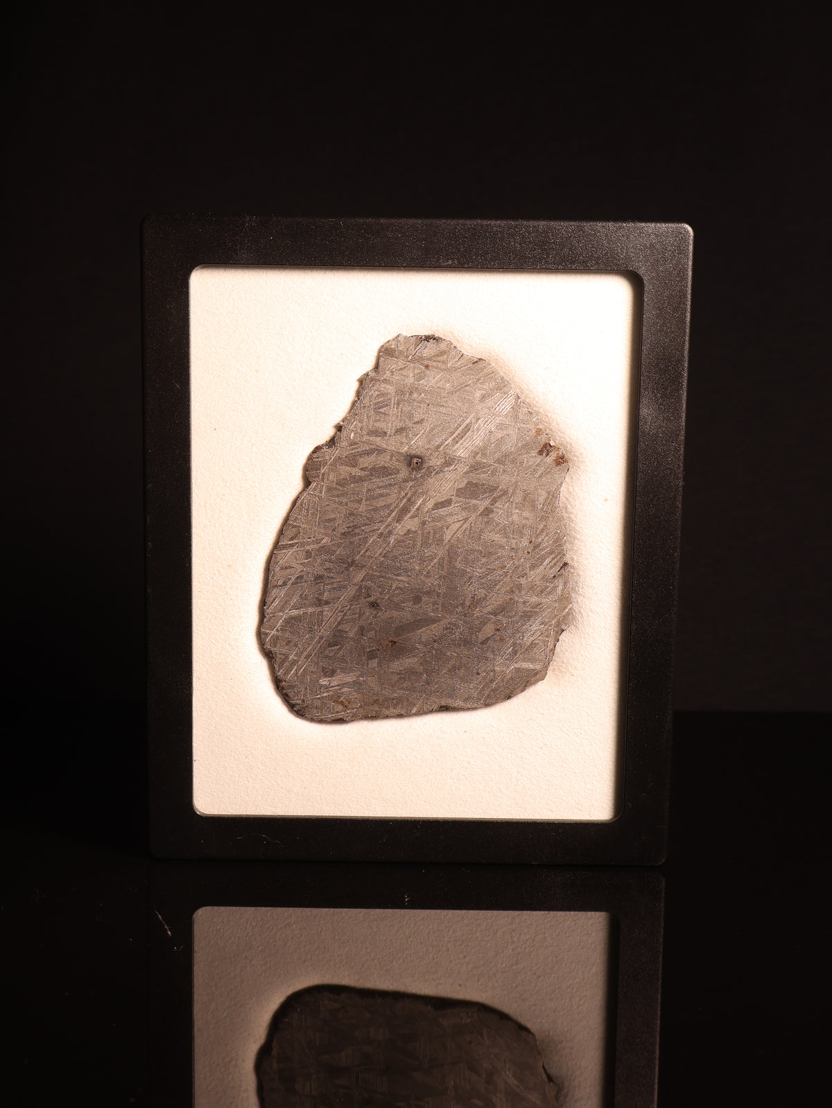 Muonionalusta meteorite, Sweden.  96,46 grams.