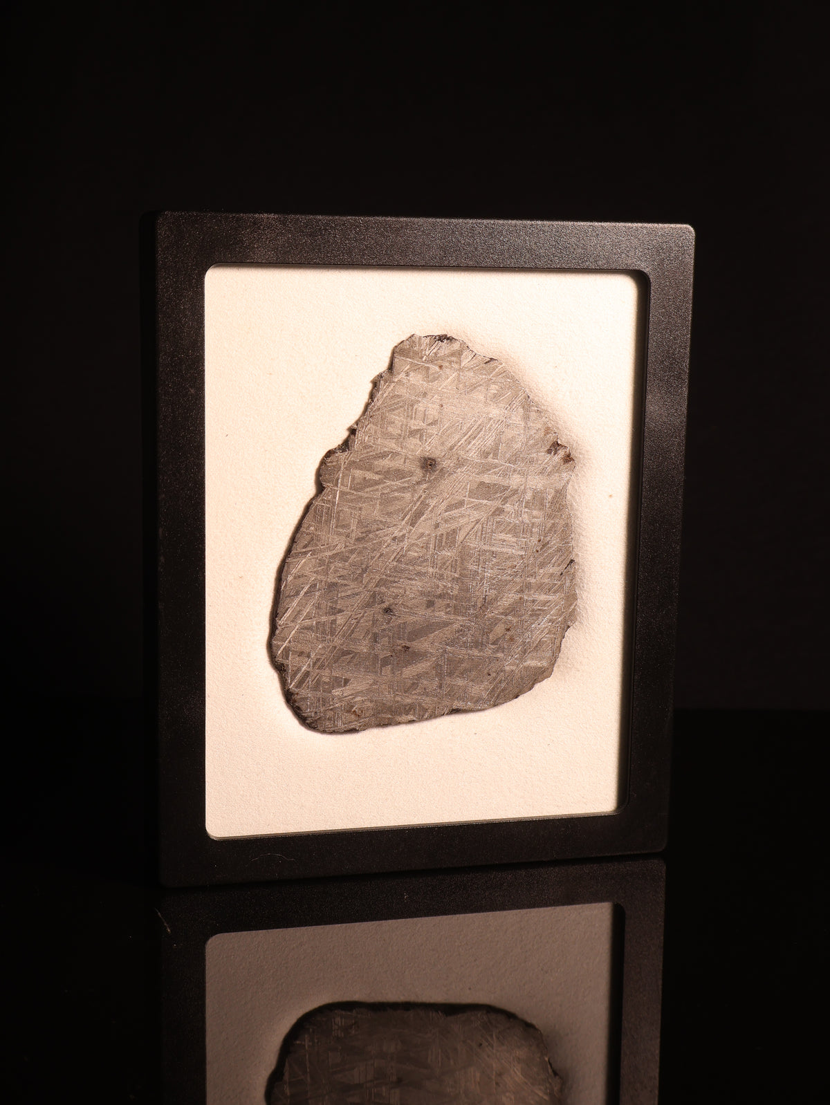 Muonionalusta meteorite, Sweden.  96,46 grams.