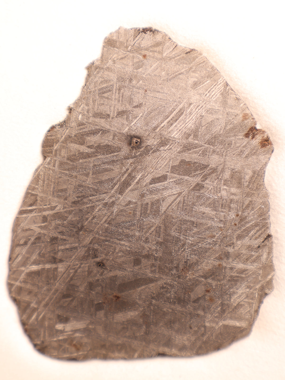 Muonionalusta meteorite, Sweden.  96,46 grams.