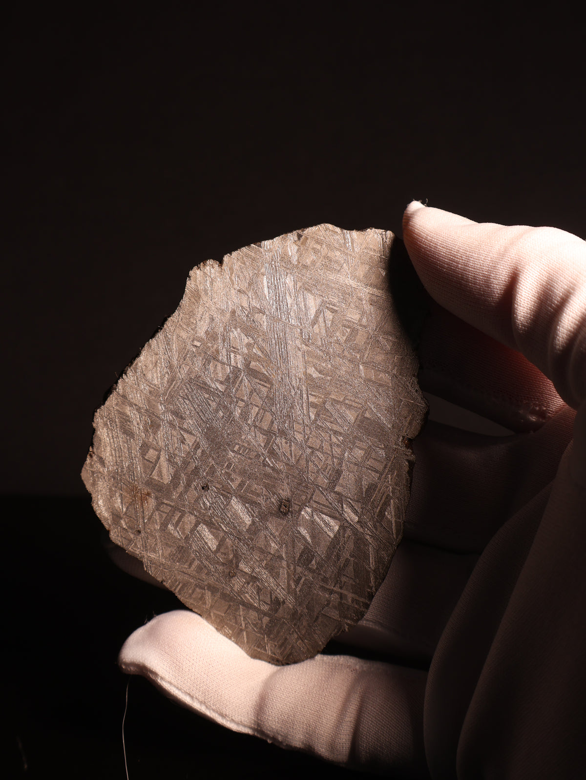 Muonionalusta meteorite, Sweden.  96,46 grams.