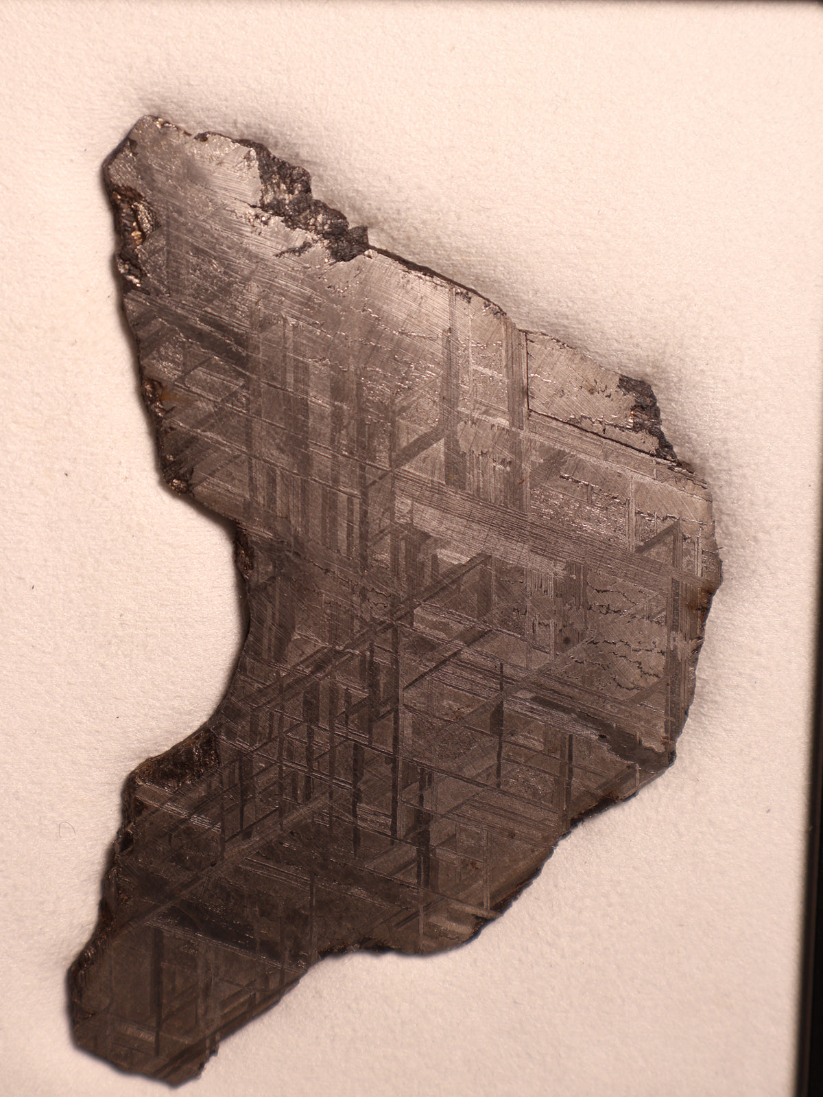 Muonionalusta meteorite, Sweden. 94,46 grams.