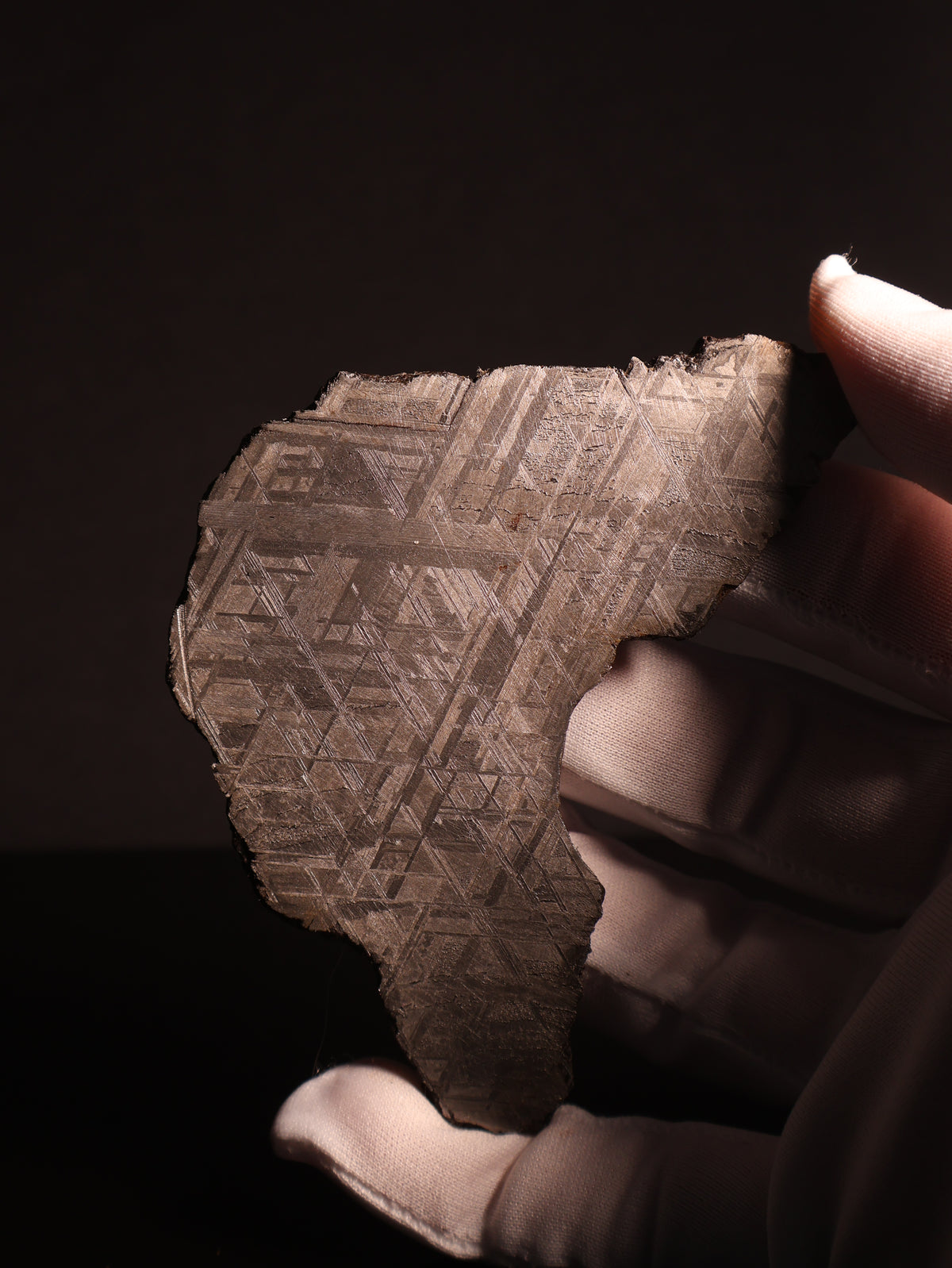 Muonionalusta meteorite, Sweden. 94,46 grams.