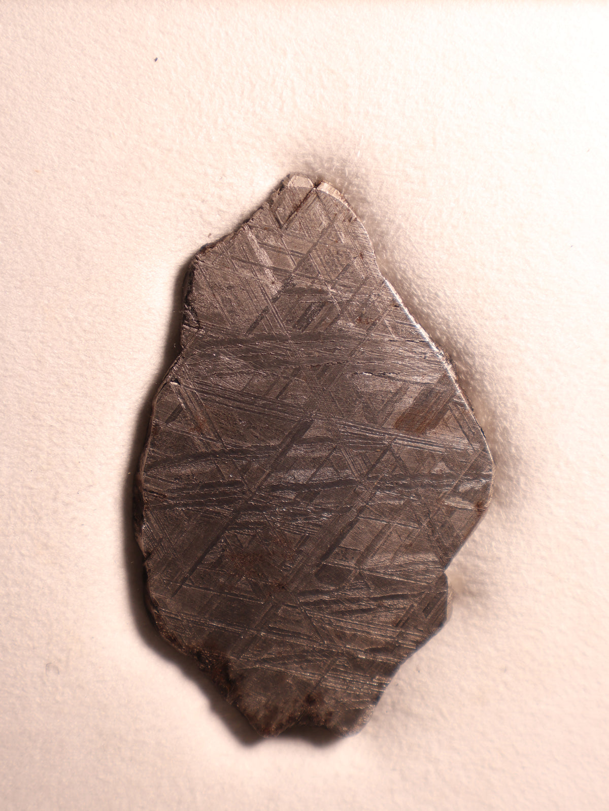MUONIONALUSTA METEORITE, SWEDEN. 107.73 GRAMS.