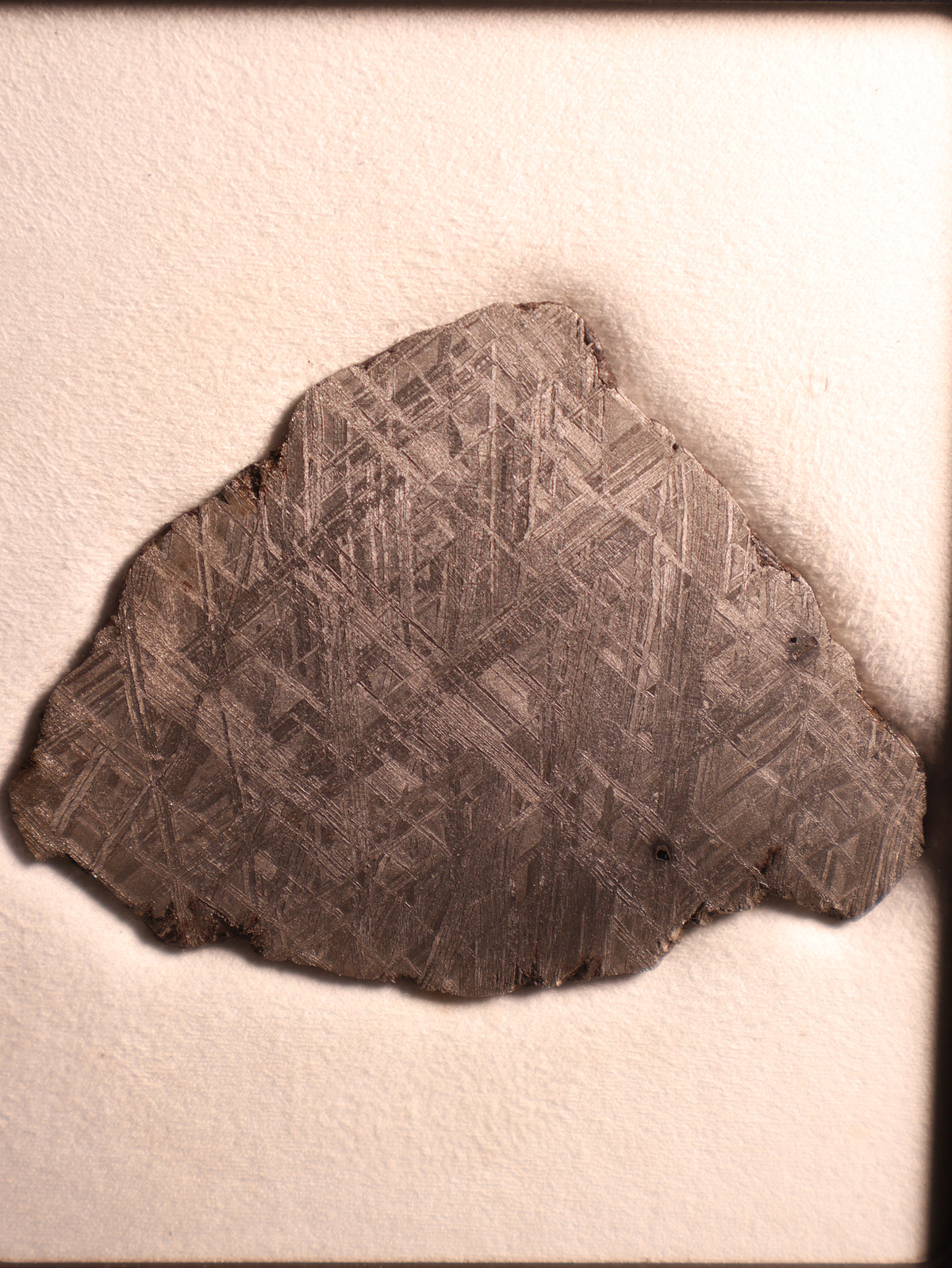 Muonionalusta meteorite, Sweden. 91,30 grams slice.