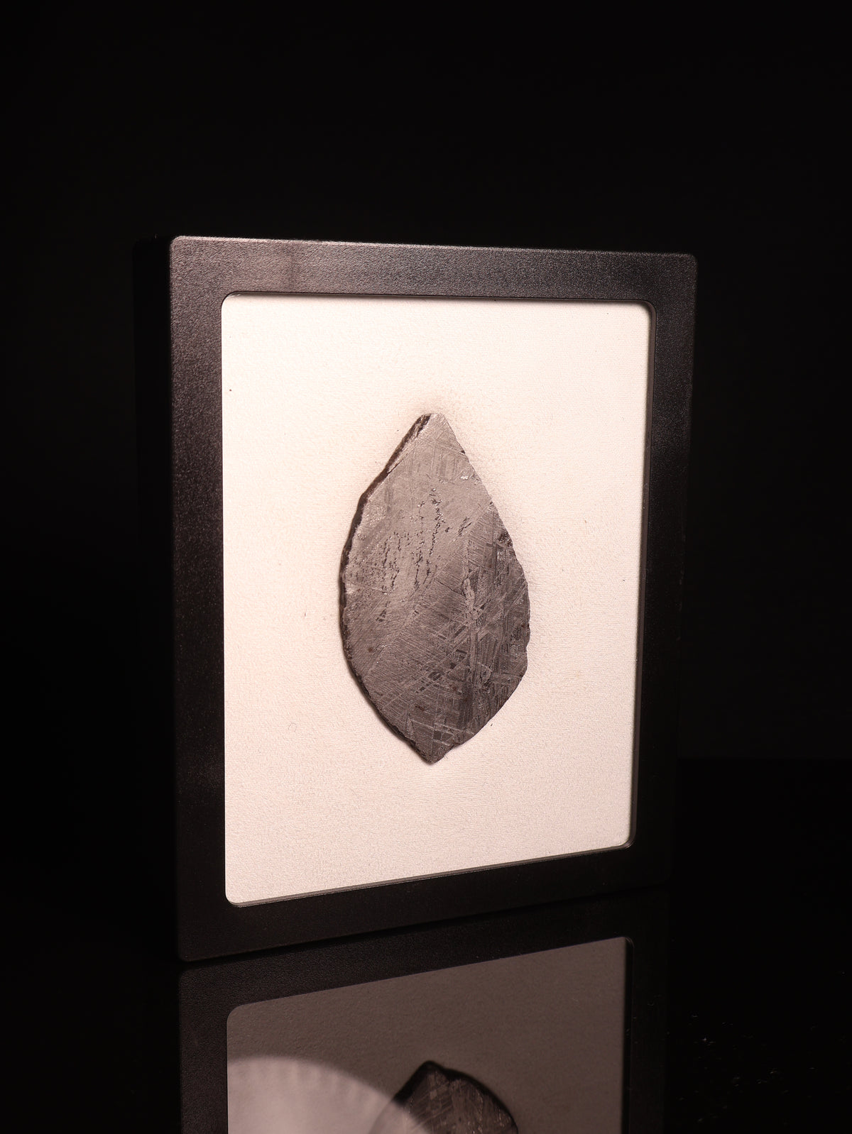 MUONIONALUSTA METEORITE, SWEDEN. 53.89 GRAMS.