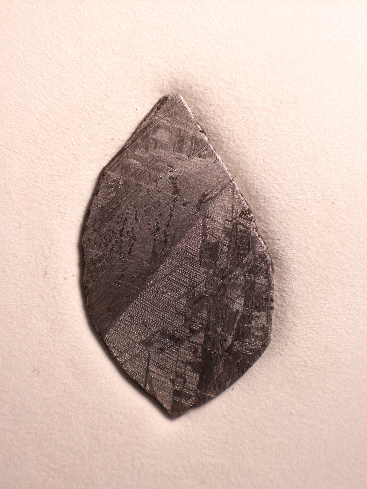 MUONIONALUSTA METEORITE, SWEDEN. 53.89 GRAMS.