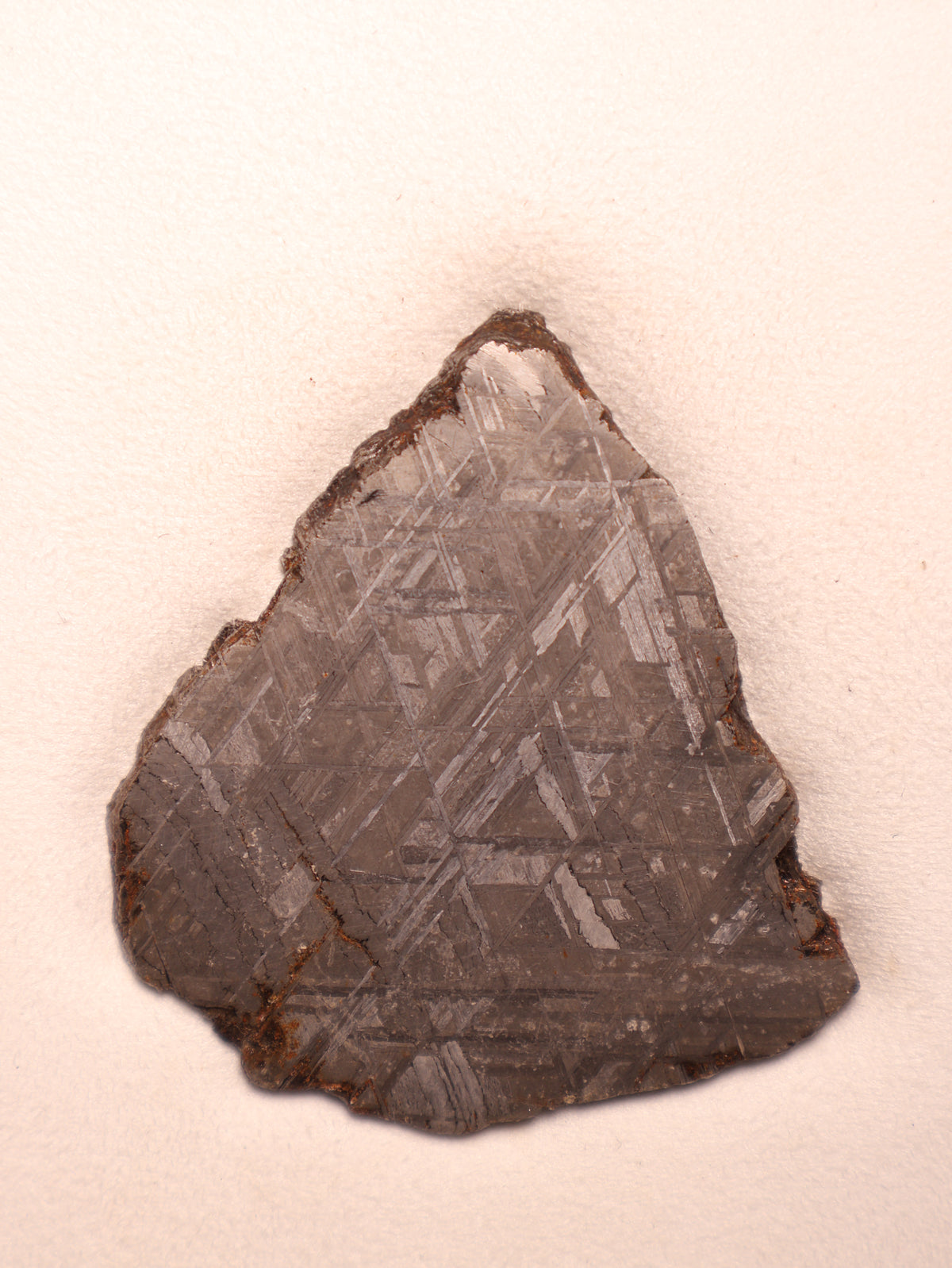 MUONIONALUSTA METEORITE, SWEDEN. 81 GRAMS.