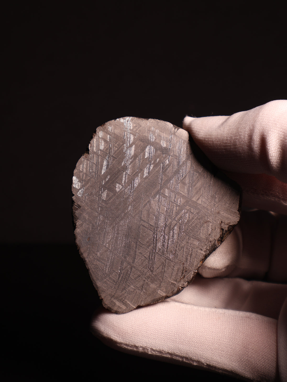 MUONIONALUSTA METEORITE, SWEDEN. 80.7 GRAMS.