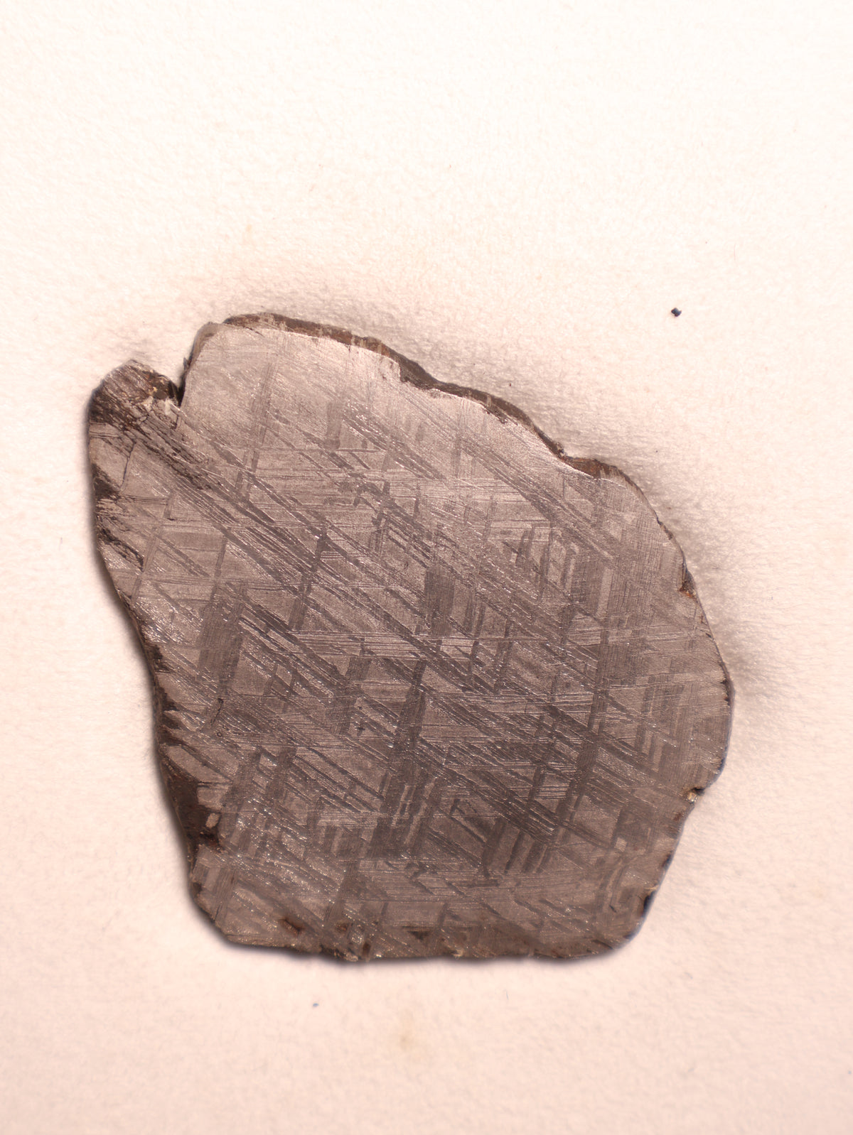 MUONIONALUSTA METEORITE, SWEDEN. 66.4 GRAMS.