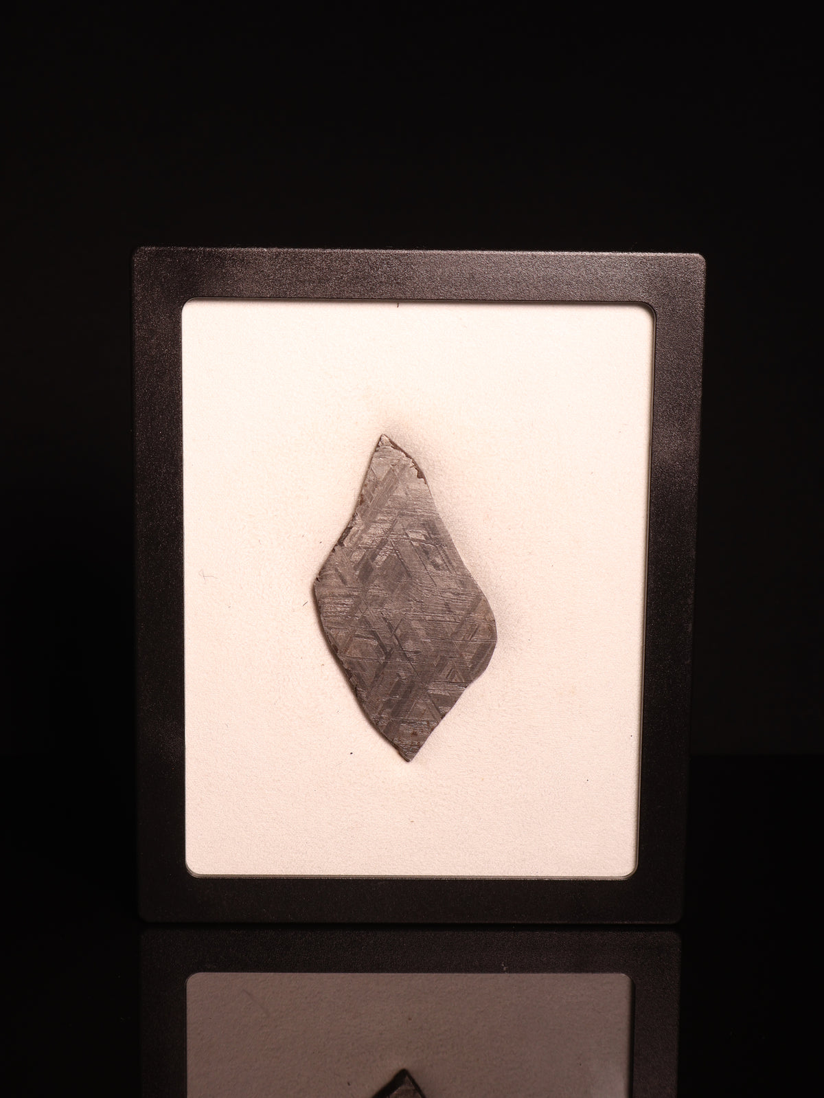 MUONIONALUSTA METEORITE, SWEDEN. 42.2 GRAMS.