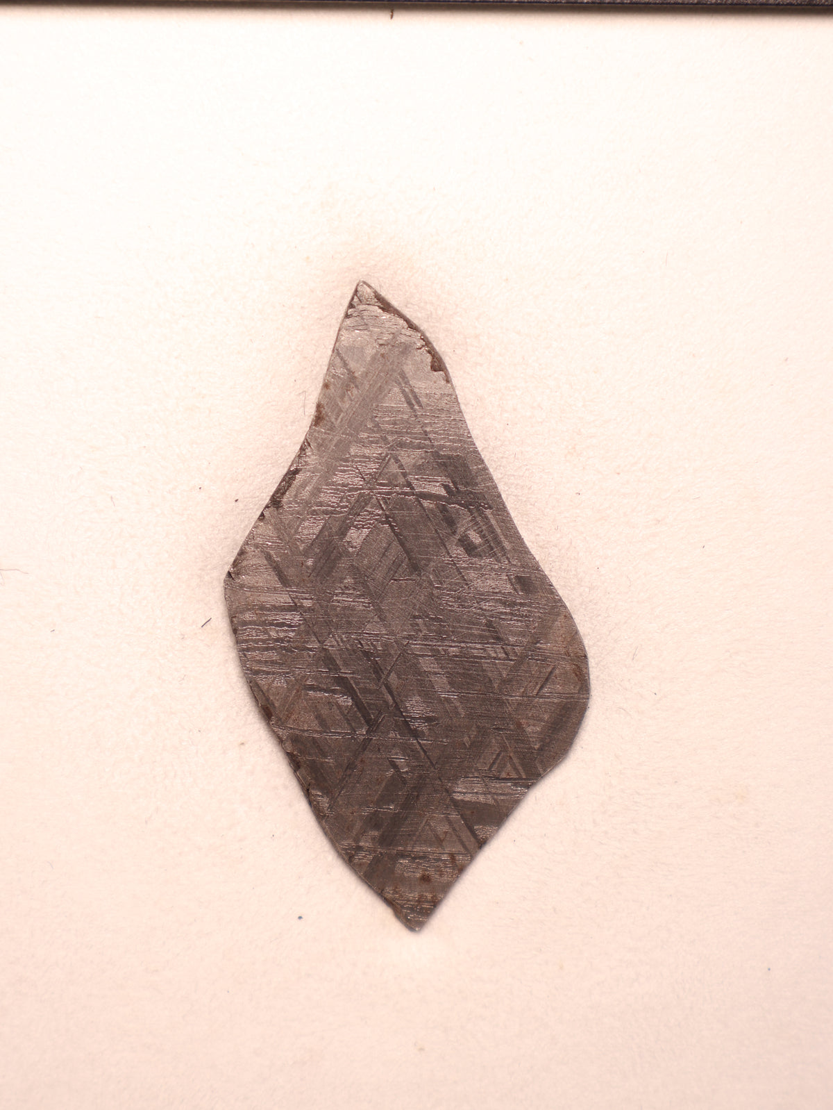 MUONIONALUSTA METEORITE, SWEDEN. 42.2 GRAMS.