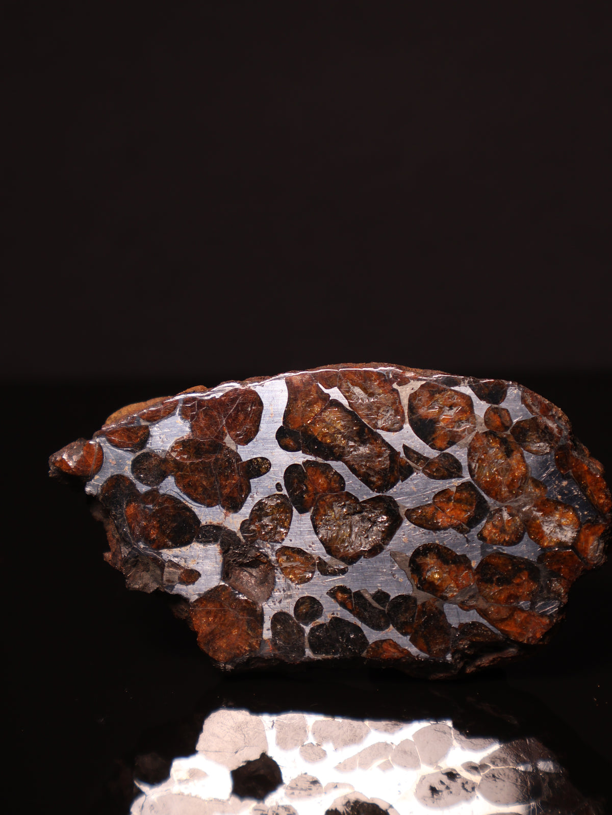 SERICHO PALLASITE METEORITE, KENYA. 143,4 GRAMS END-CUT.