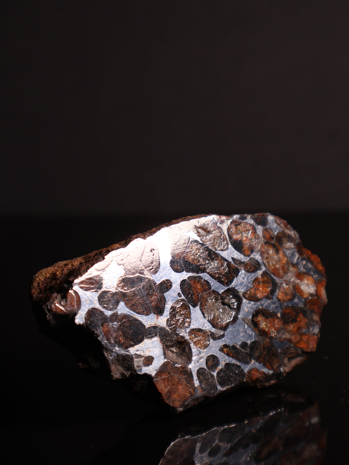 SERICHO PALLASITE METEORITE, KENYA. 143,4 GRAMS END-CUT.