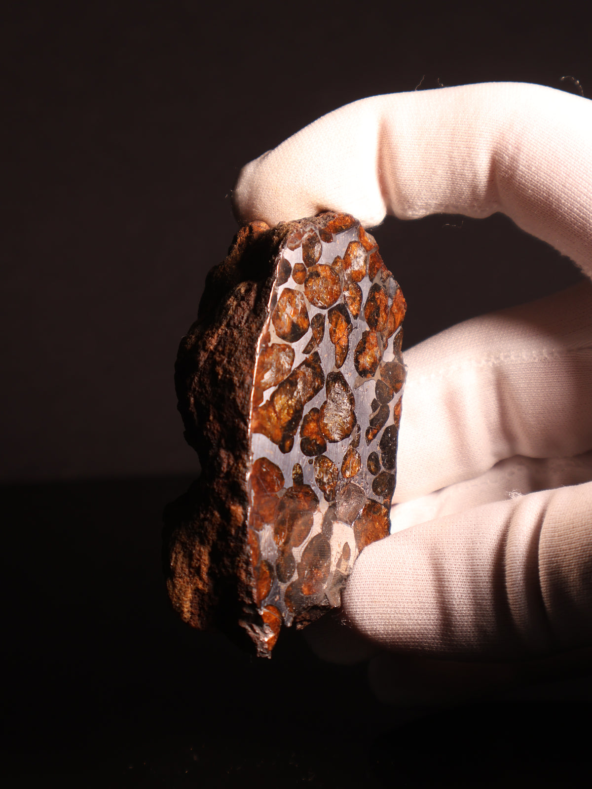 SERICHO PALLASITE METEORITE, KENYA. 143,4 GRAMS END-CUT.