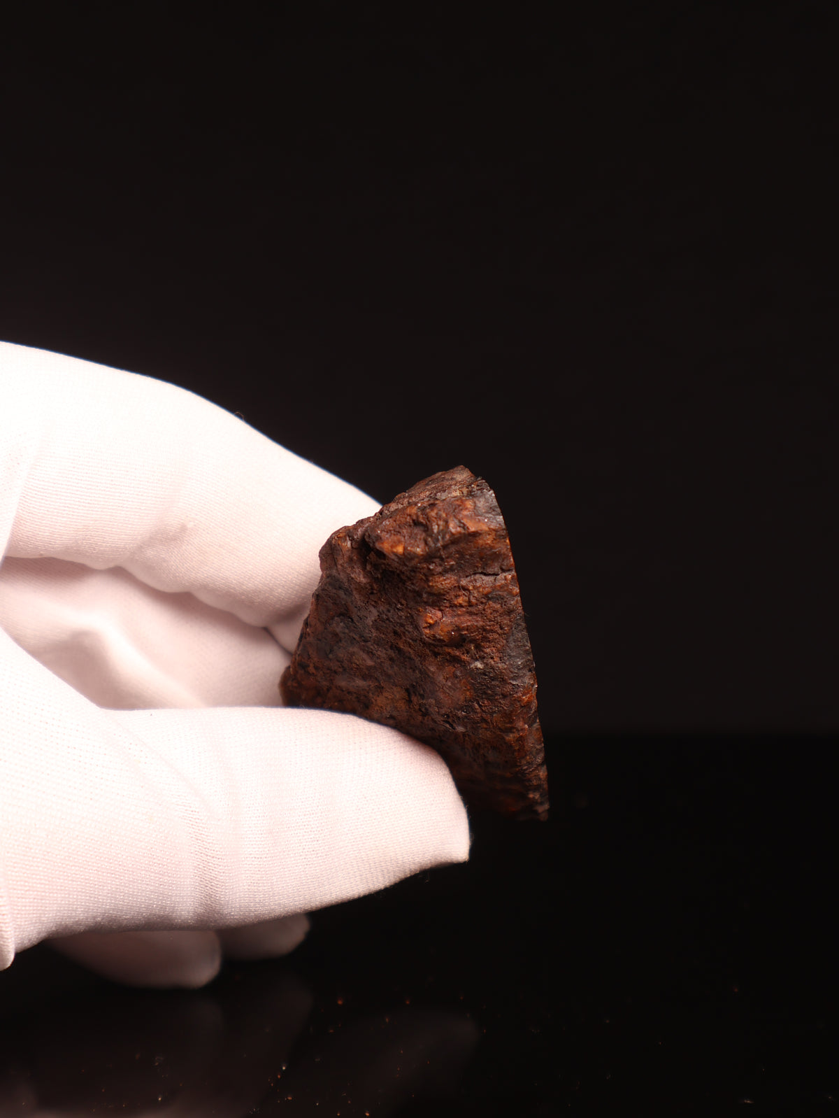 SERICHO PALLASITE METEORITE, KENYA. 89,5 GRAMS END-CUT