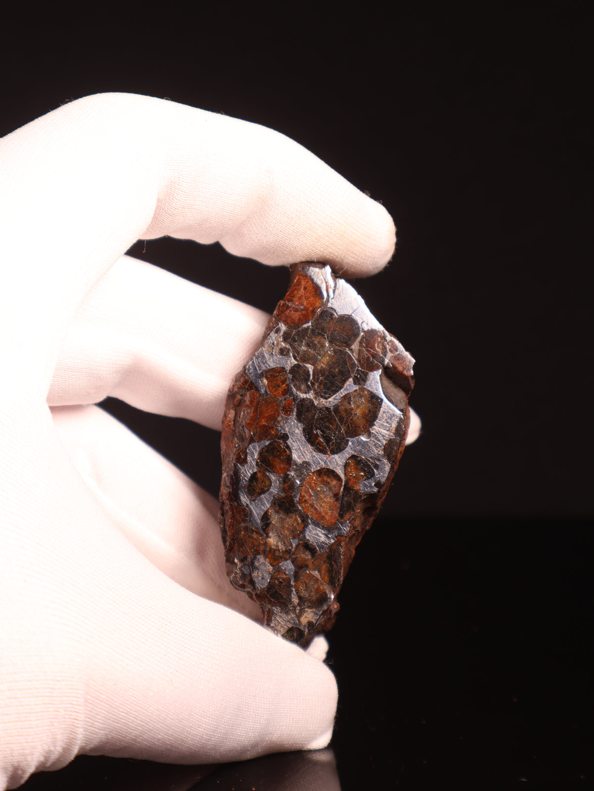 SERICHO PALLASITE METEORITE, KENYA. 89,5 GRAMS END-CUT