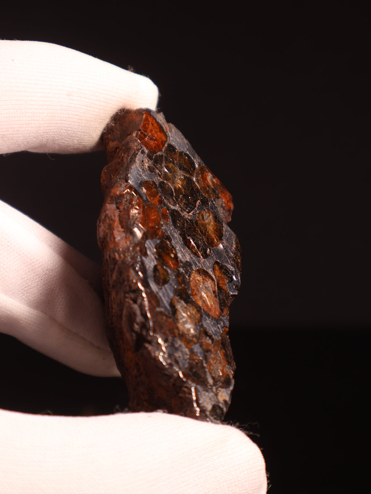 SERICHO PALLASITE METEORITE, KENYA. 89,5 GRAMS END-CUT