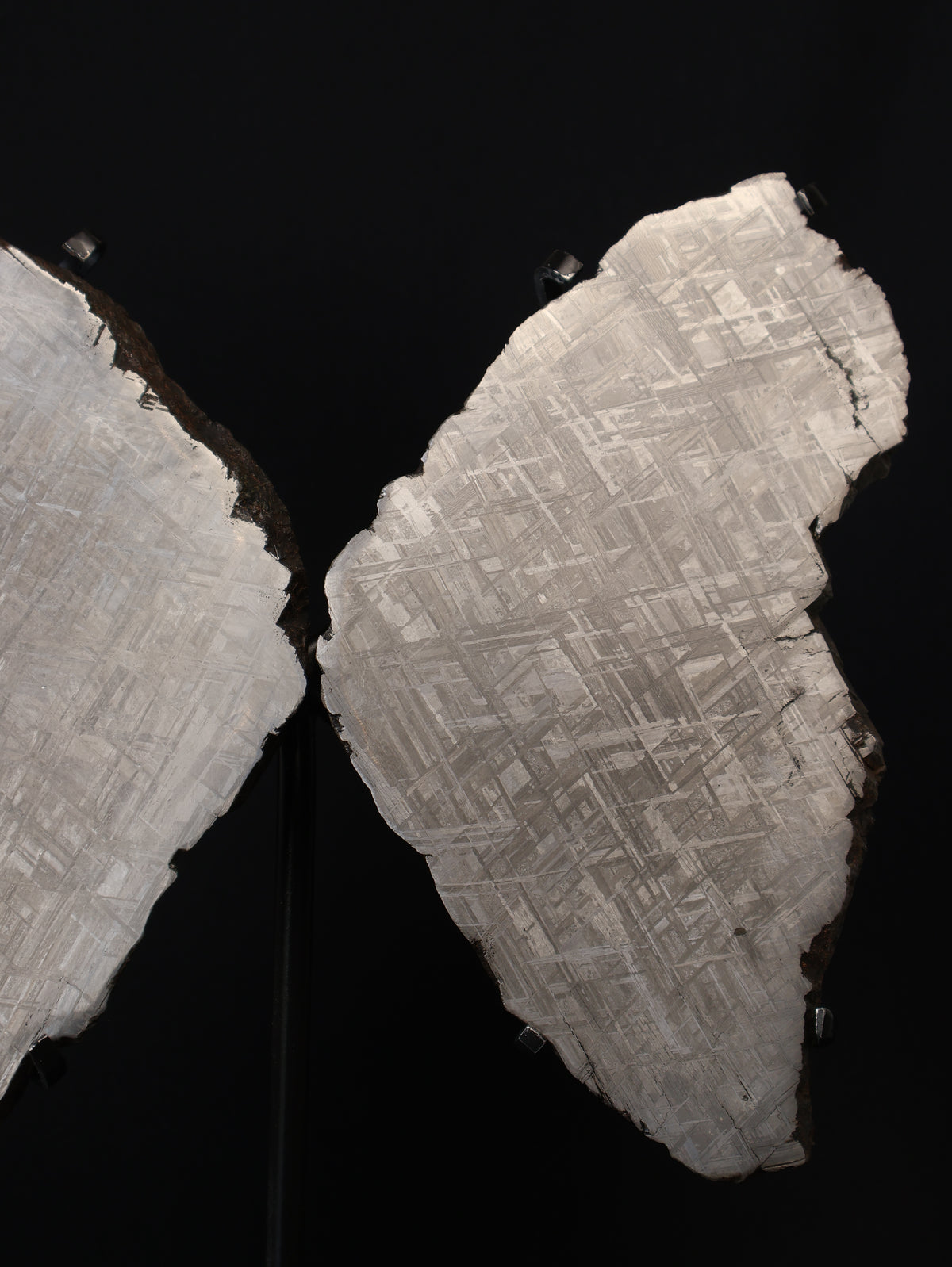 "COSMIC BUTTERFLY" MUONIONALUSTA, SWEDEN. FULL METEORITE IN TWO HALVES.