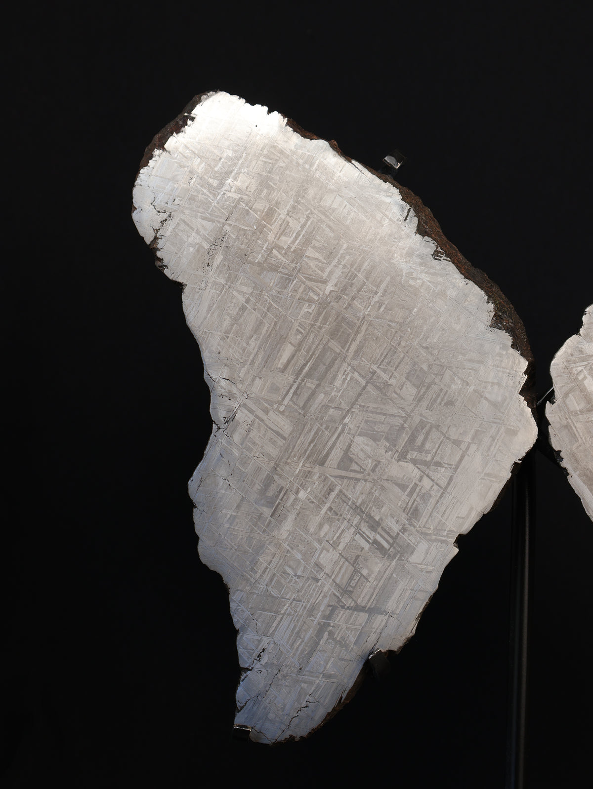 "COSMIC BUTTERFLY" MUONIONALUSTA, SWEDEN. FULL METEORITE IN TWO HALVES.