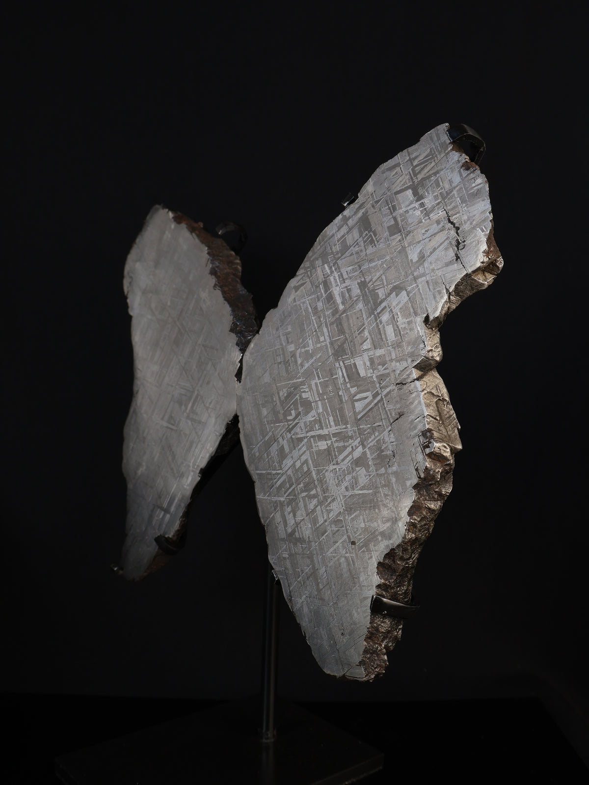 "COSMIC BUTTERFLY" MUONIONALUSTA, SWEDEN. FULL METEORITE IN TWO HALVES.