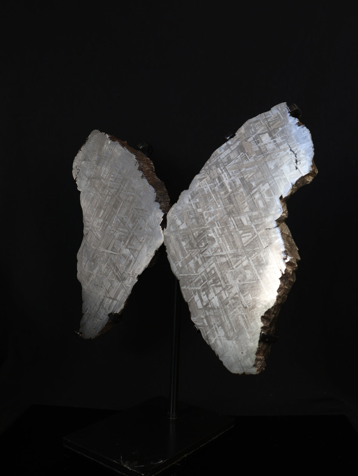 "COSMIC BUTTERFLY" MUONIONALUSTA, SWEDEN. FULL METEORITE IN TWO HALVES.