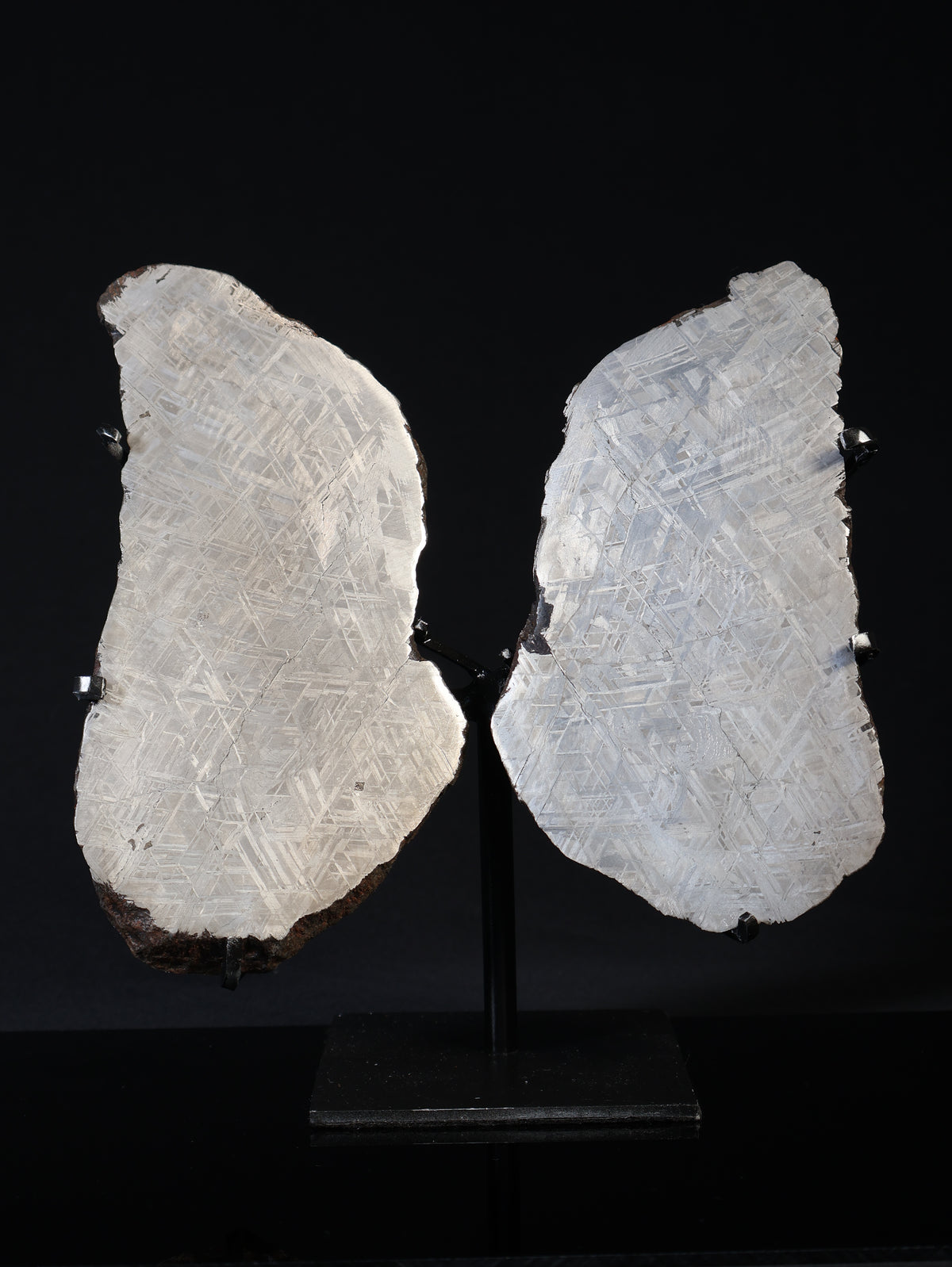 'COSMIC LUNGS' MUONIONALUSTA METEORITE, SWEDEN. FULL METEORITE IN TWO HALVES 1.950 GRAMS