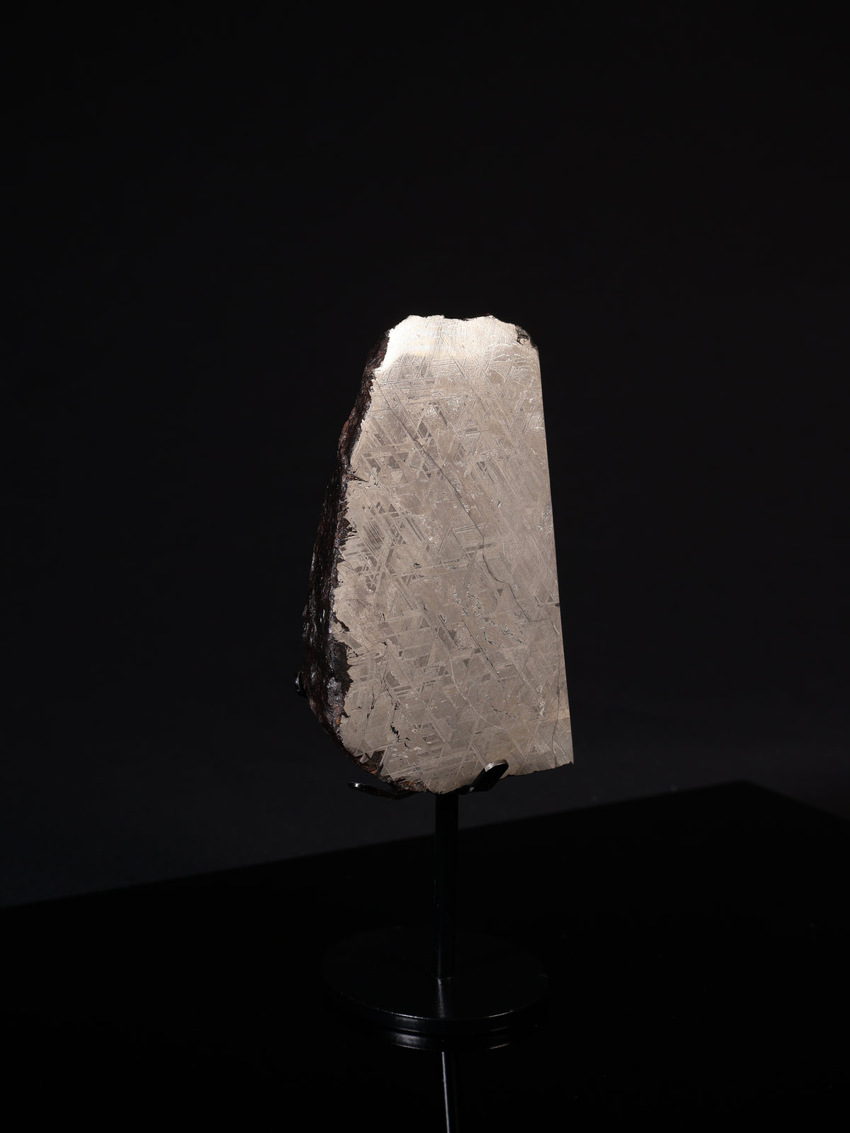 MUONIONALUSTA METEORITE, SWEDEN. 887 GRAMS END-CUT.