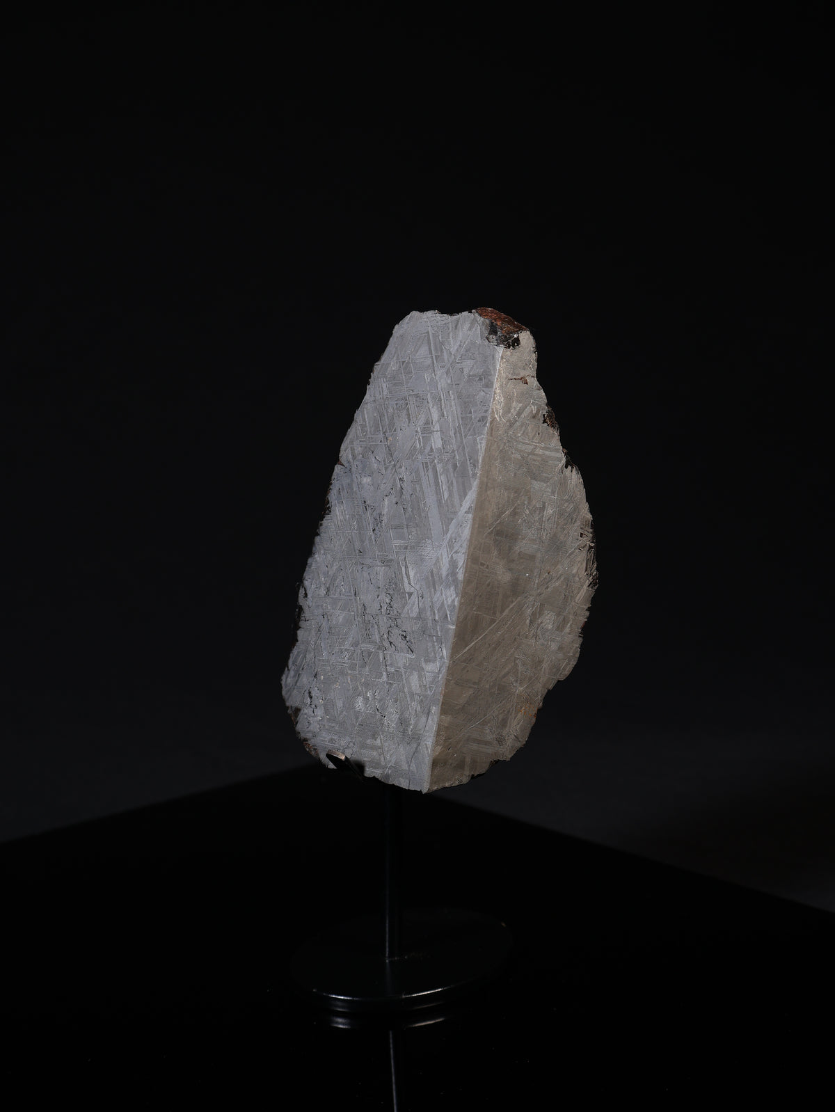 MUONIONALUSTA METEORITE, SWEDEN. 628 GRAMS END-CUT.
