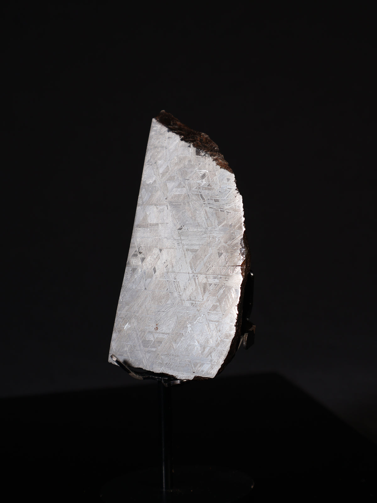 MUONIONALUSTA METEORITE, SWEDEN. 628 GRAMS END-CUT.