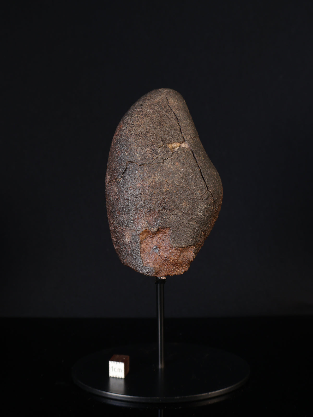 CHONDRITE METEORITE, NORTH WEST AFRICA. 421 GRAMS.