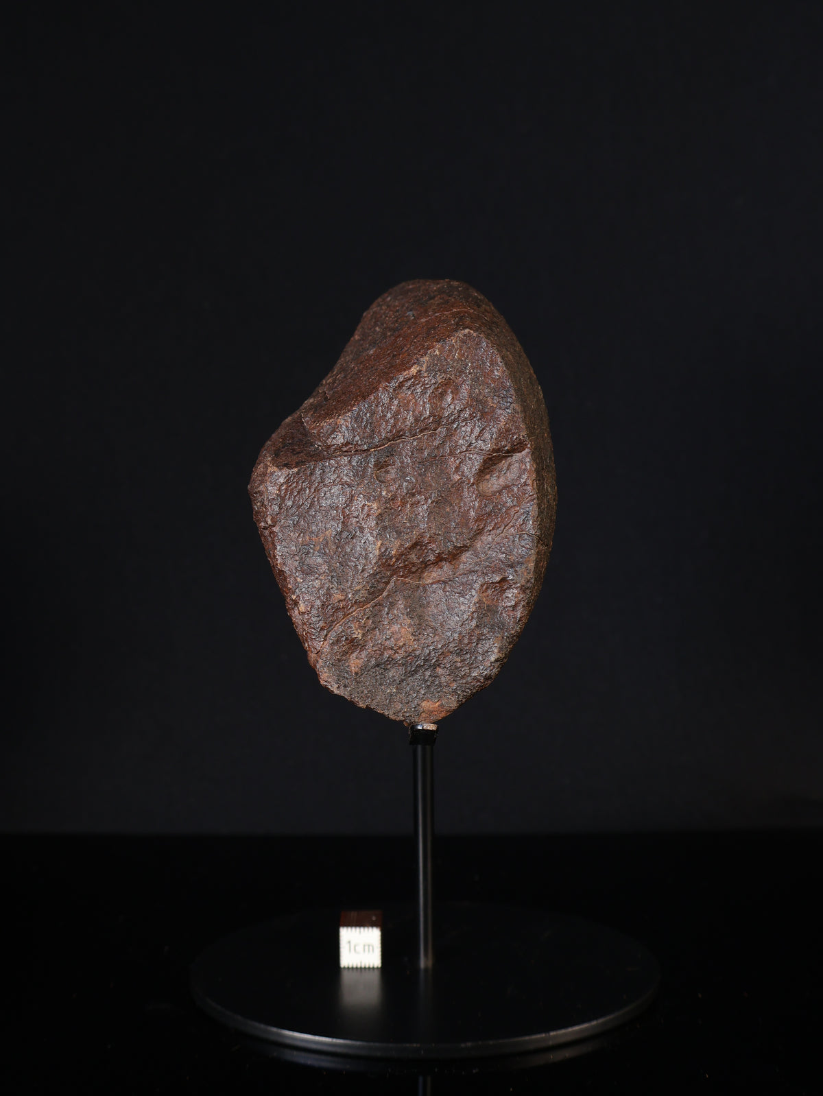 CHONDRITE METEORITE, NORTH WEST AFRICA. 421 GRAMS.