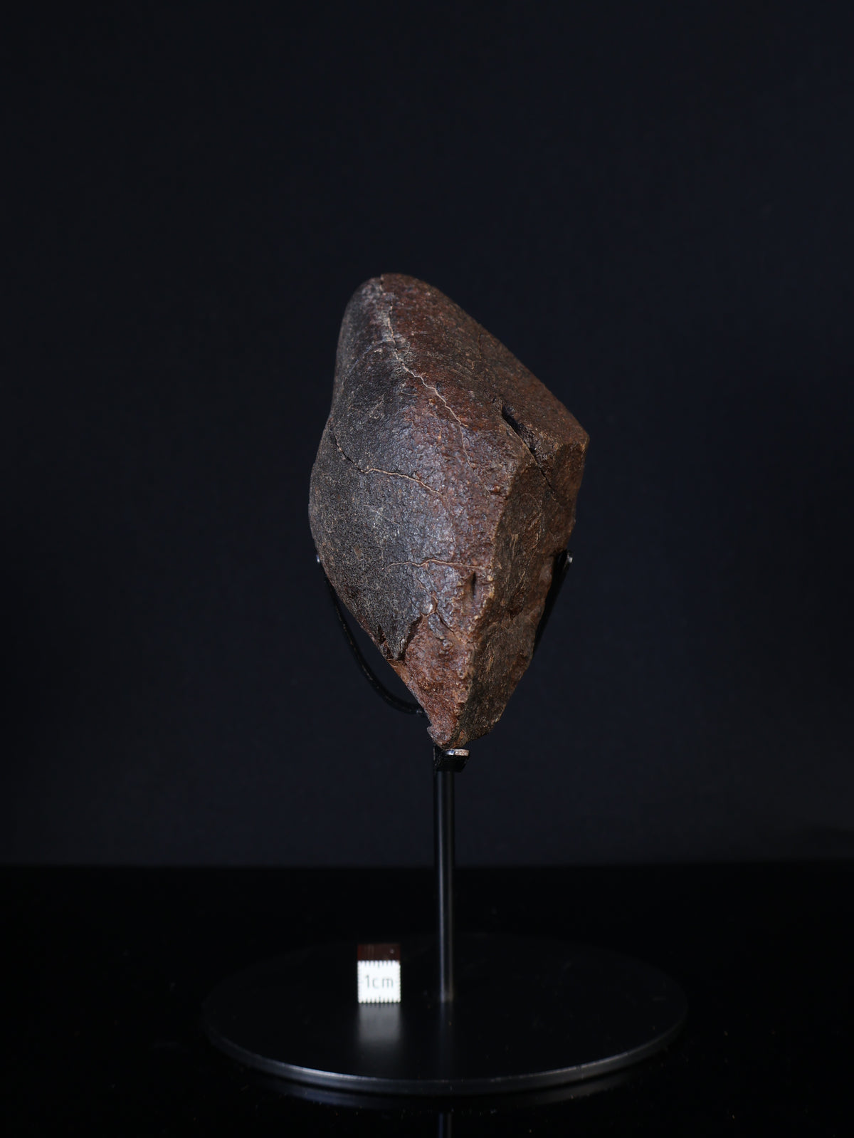CHONDRITE METEORITE, NORTH WEST AFRICA. 421 GRAMS.