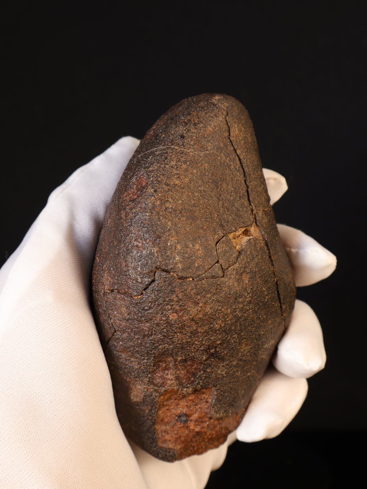 CHONDRITE METEORITE, NORTH WEST AFRICA. 421 GRAMS.