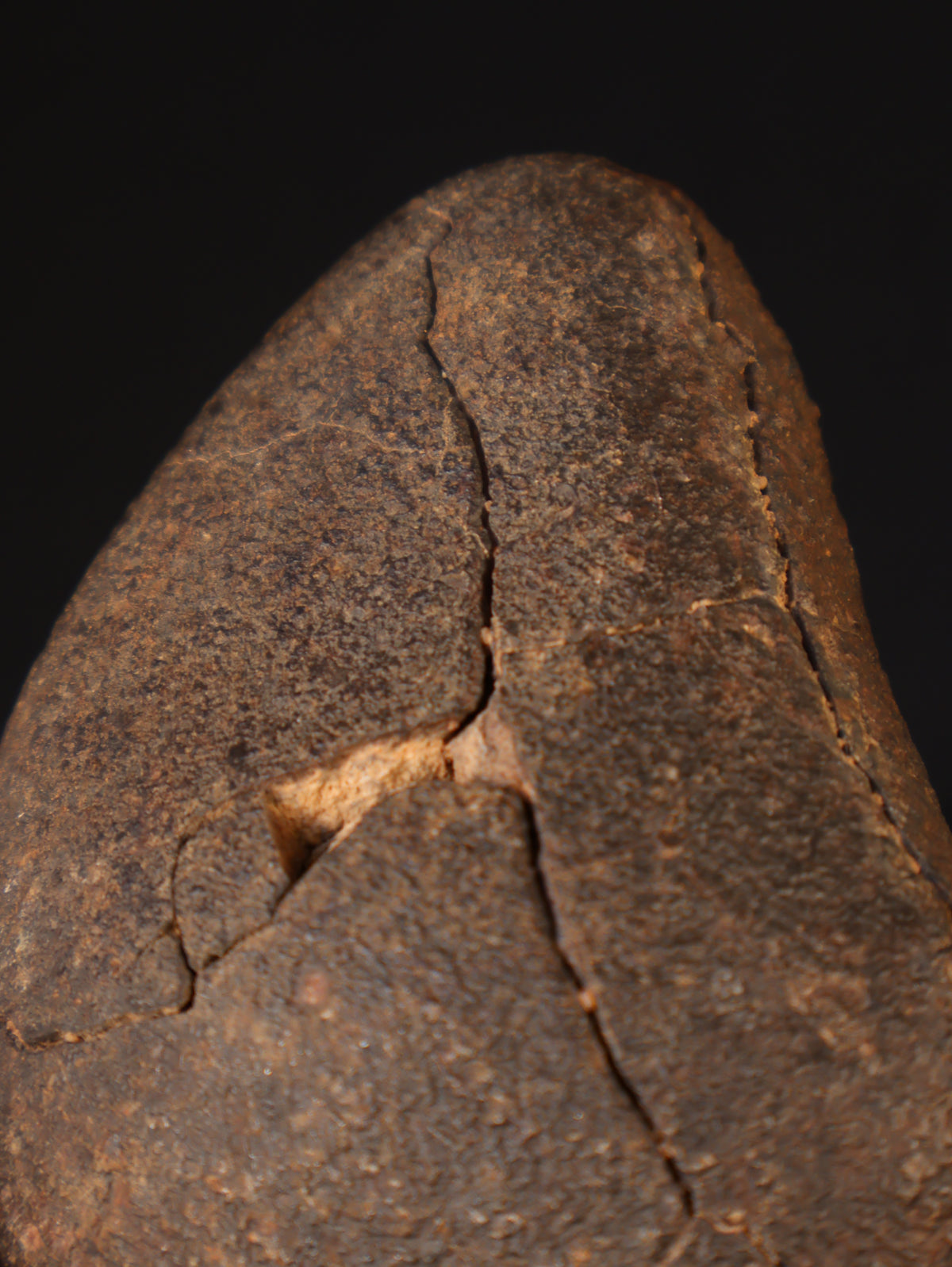 CHONDRITE METEORITE, NORTH WEST AFRICA. 421 GRAMS.