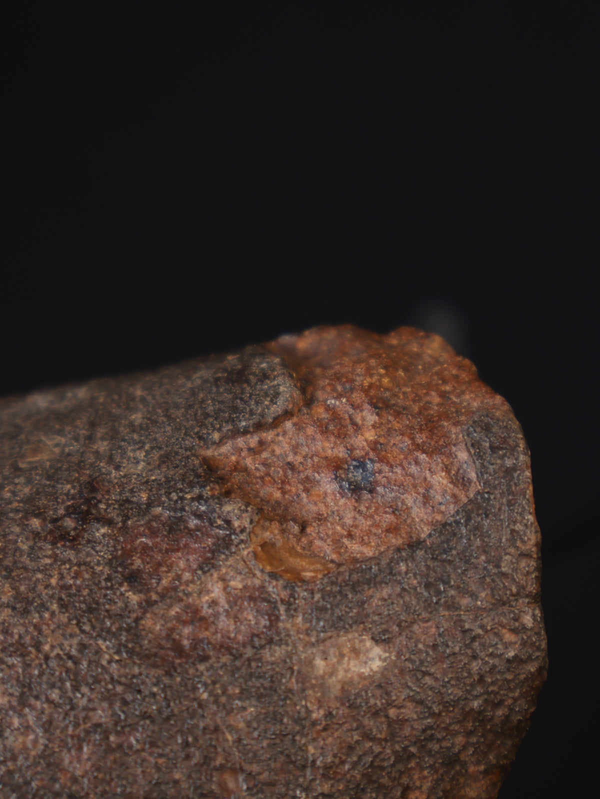 CHONDRITE METEORITE, NORTH WEST AFRICA. 421 GRAMS.