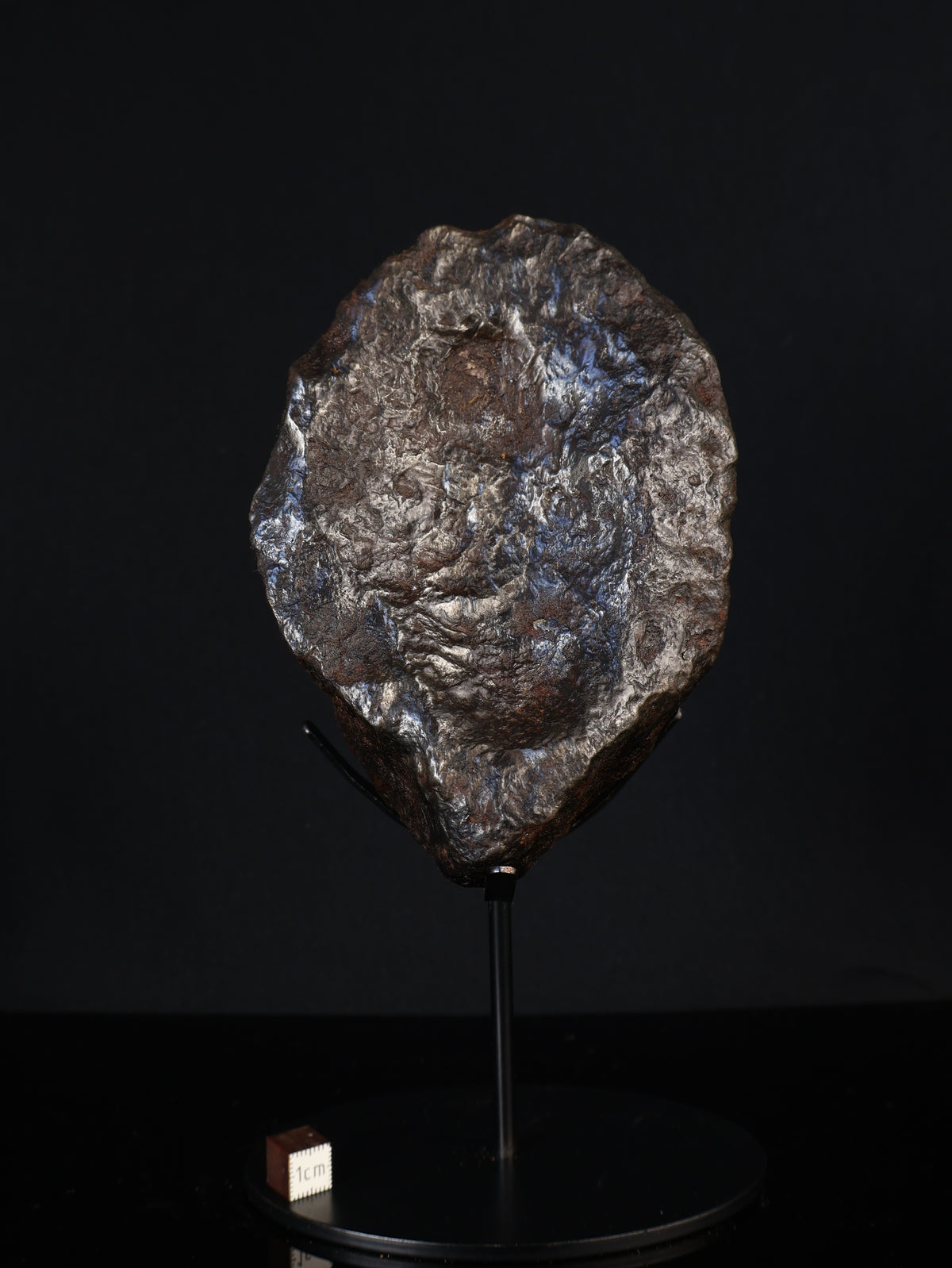 MUONIONALUSTA METEORITE, SWEDEN. FULL METEORITE 1711 grams.