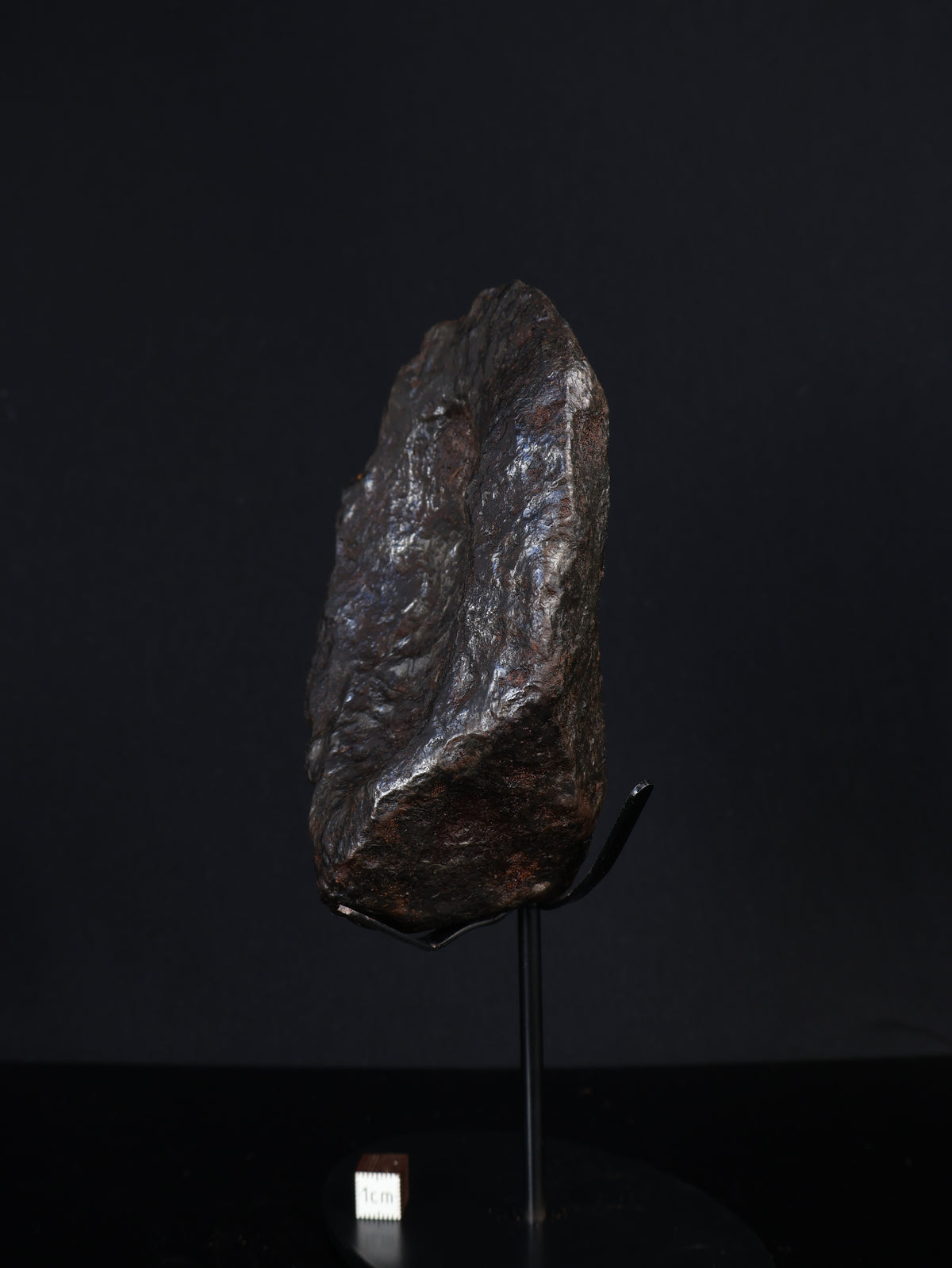 MUONIONALUSTA METEORITE, SWEDEN. FULL METEORITE 1711 grams.